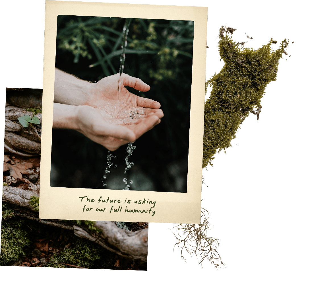 a photo of hands under running water and the photo says "the future is aasking for our full humanity"