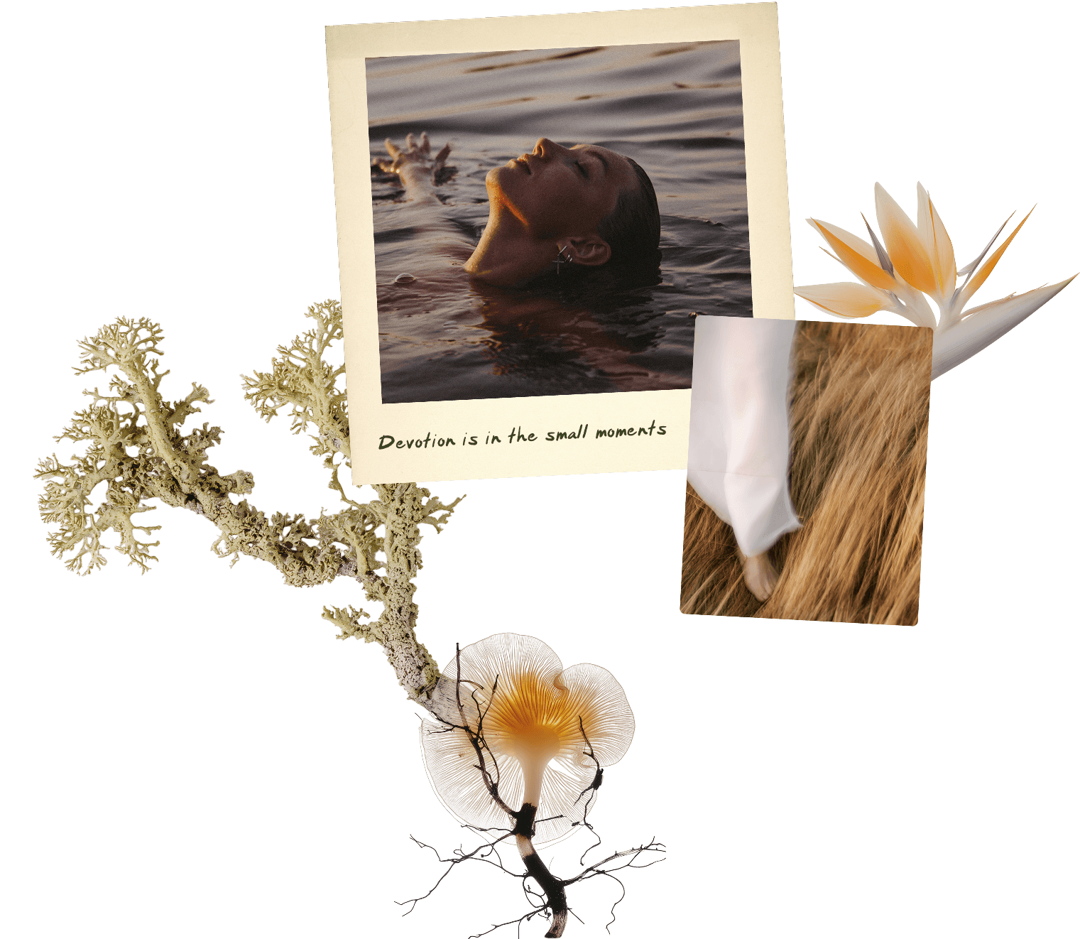 woman in water, collaged with flowers and that photo says "devotion is in the small moments"