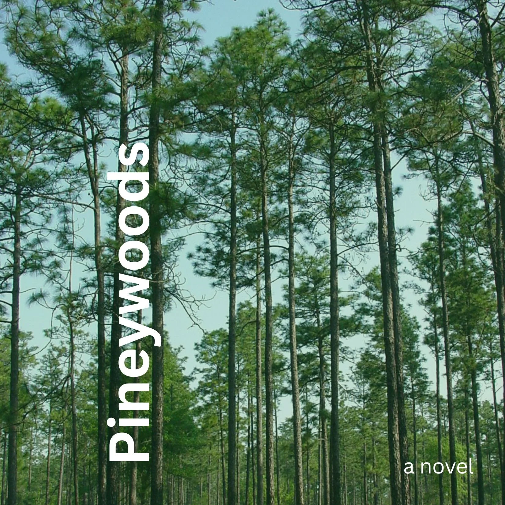 A color picture of tall, skinny pine trees, with the book title Pineywoods in white positioned vertically between two tree trunks.