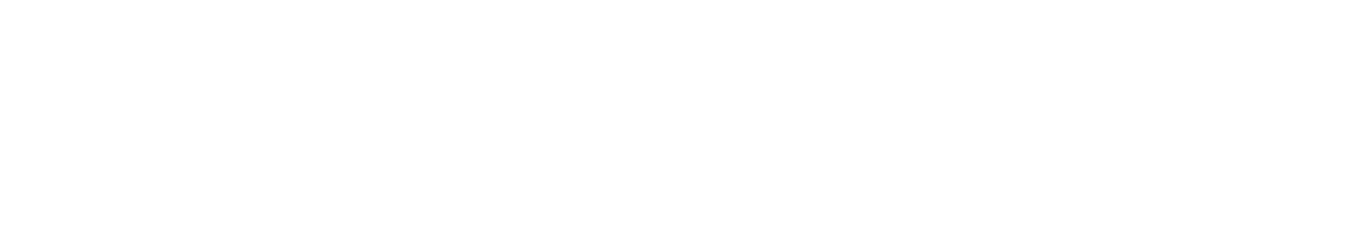 Neighborhood illustration representing CoHost Works vacation rental management services for property owners throughout the Carolinas and Georgia.