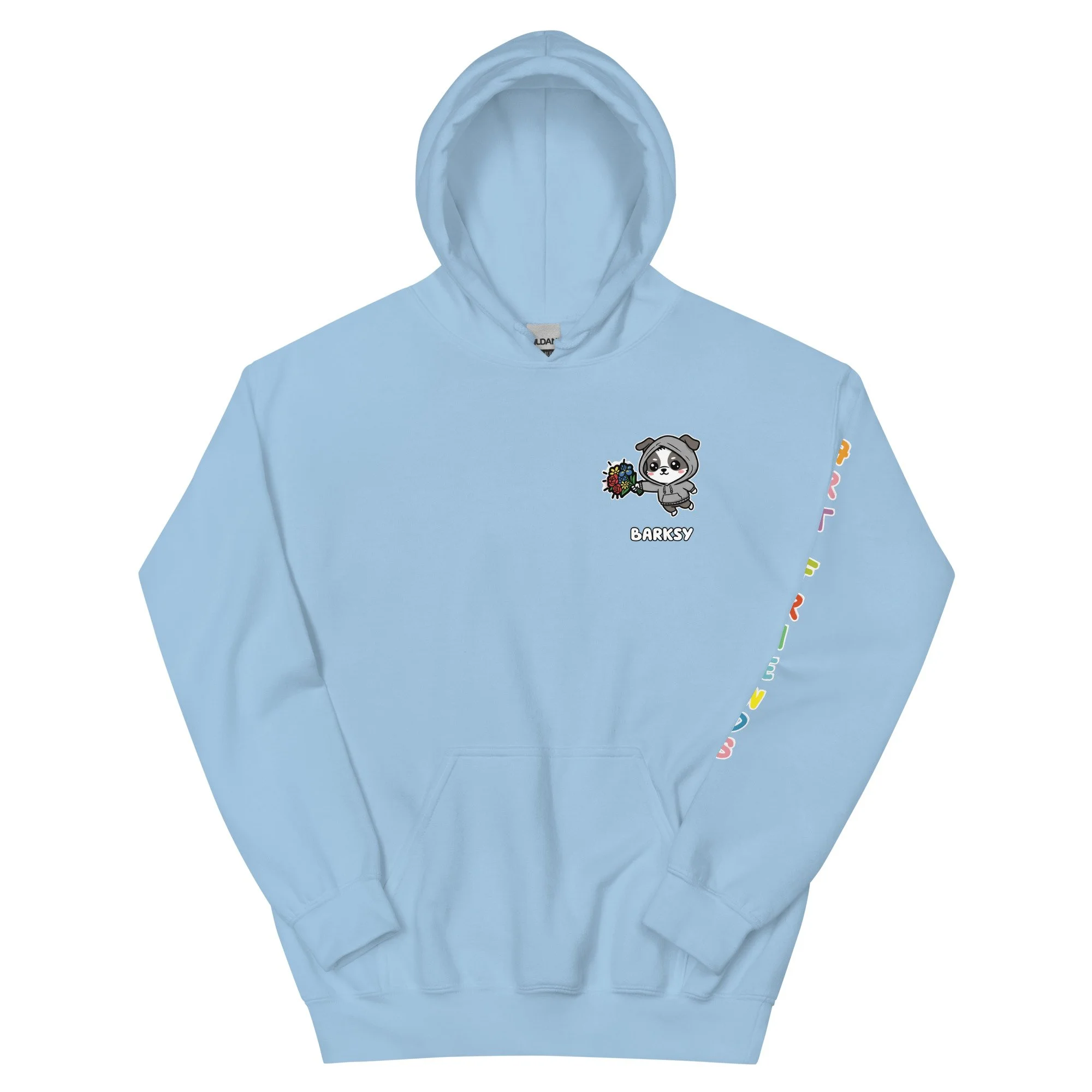 unisex-heavy-blend-hoodie-light-blue-front-69dcfc1a7503e.jpg
