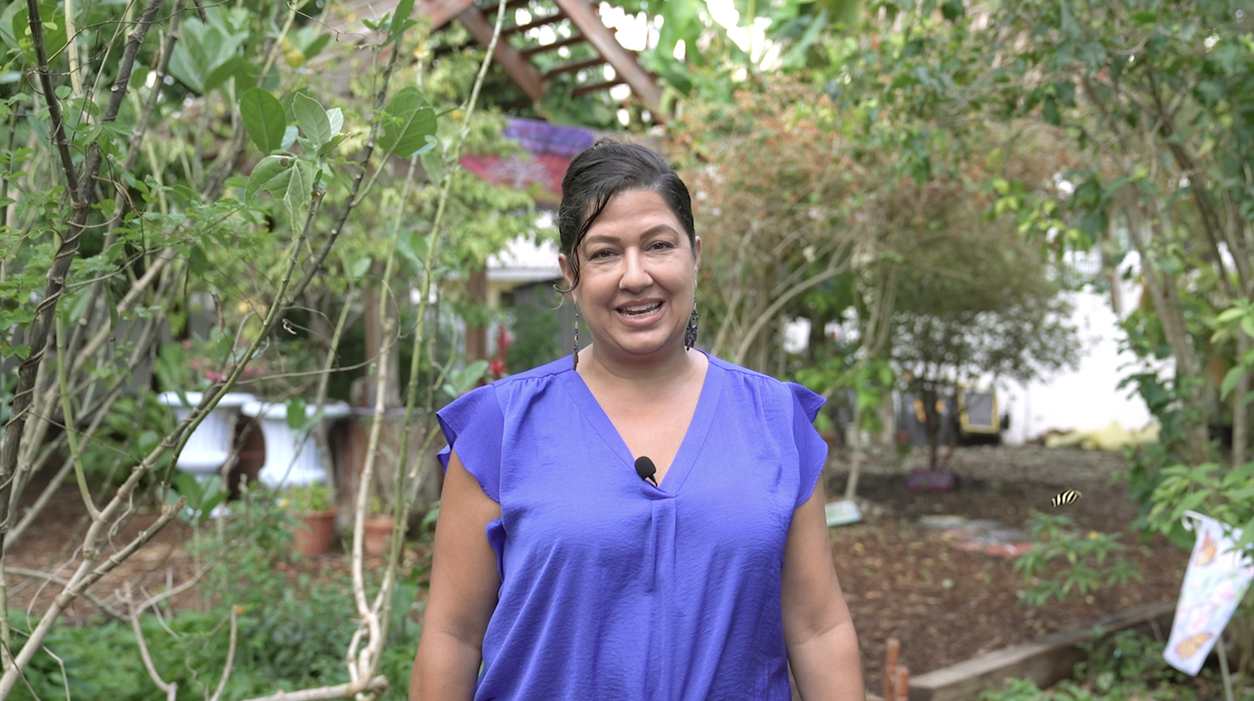 Non-Profit Highlights