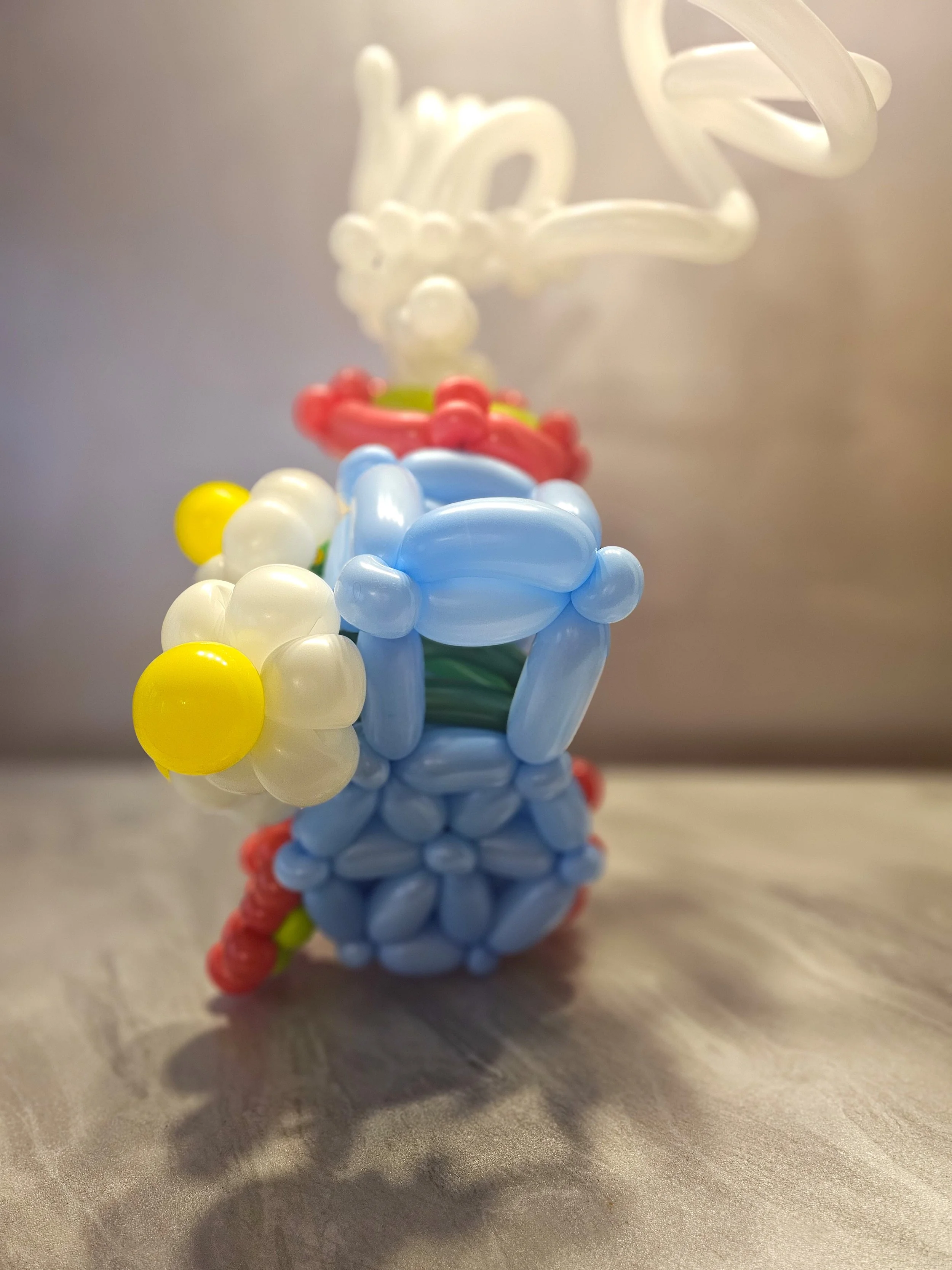 Sabina ExtraordinAIR choochoo 2.jpg