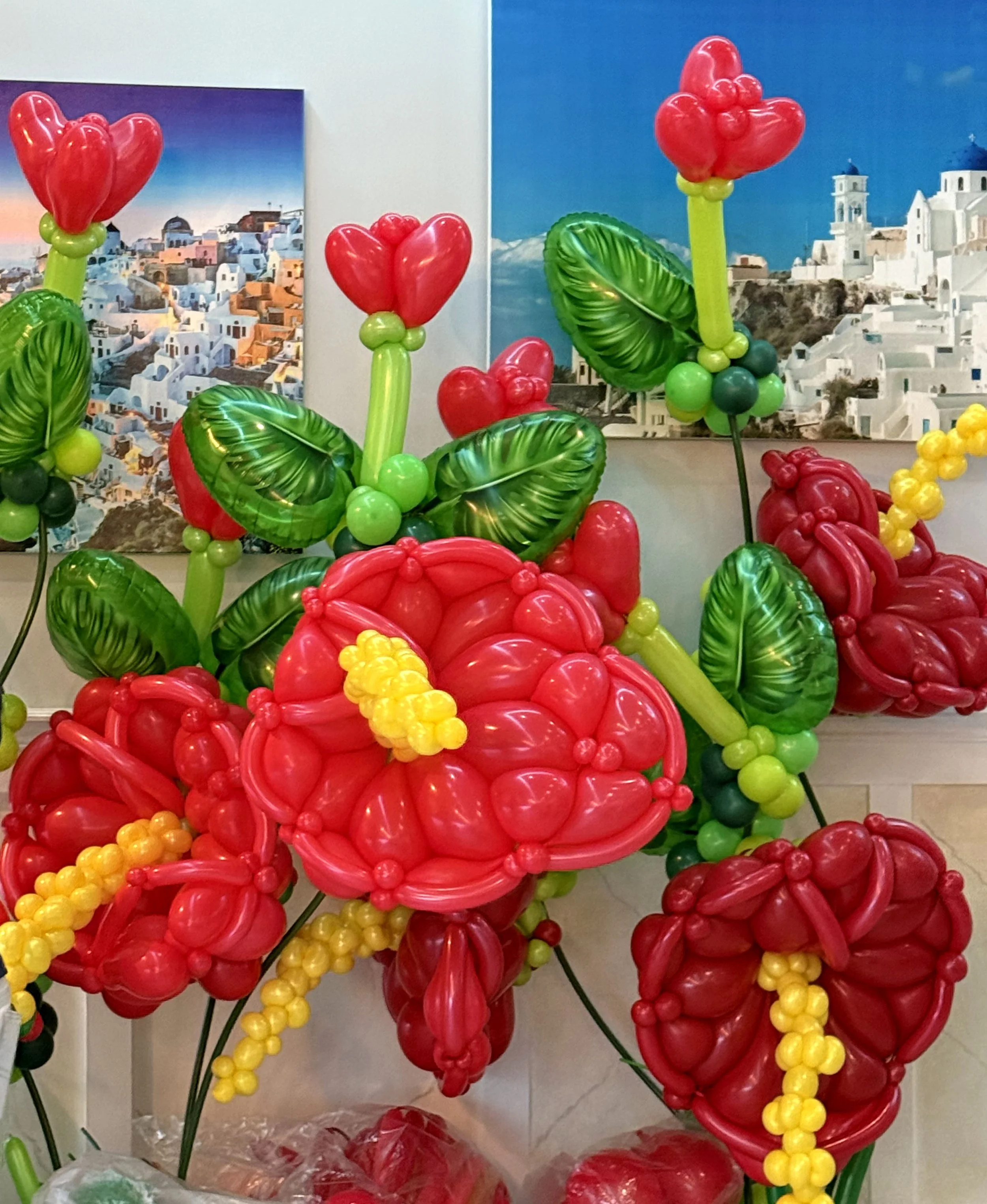 Sabina Extraordinair Antherium 0.jpg