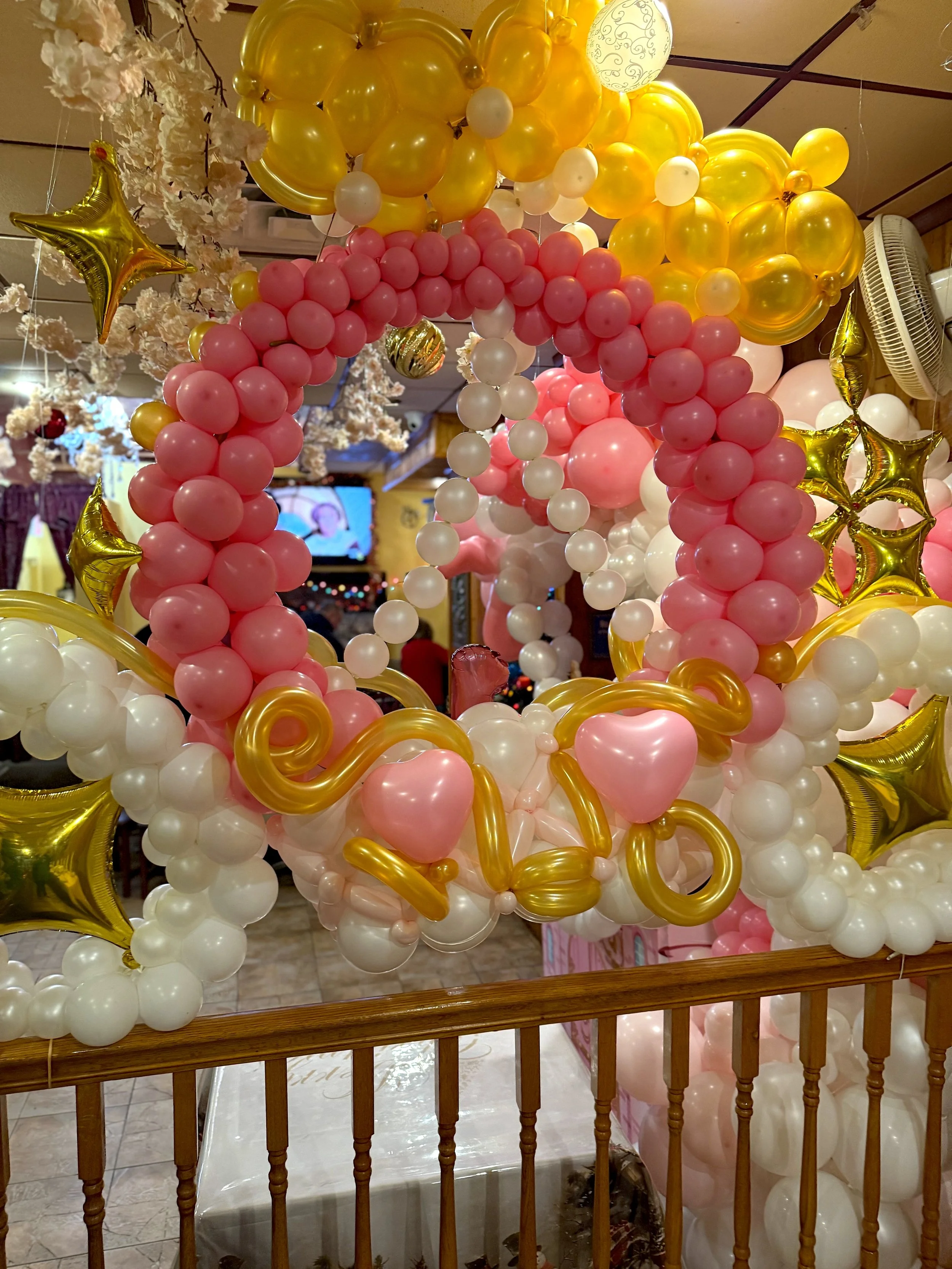 Sabina ExtraordinAIR IMG_4687 (1).jpeg