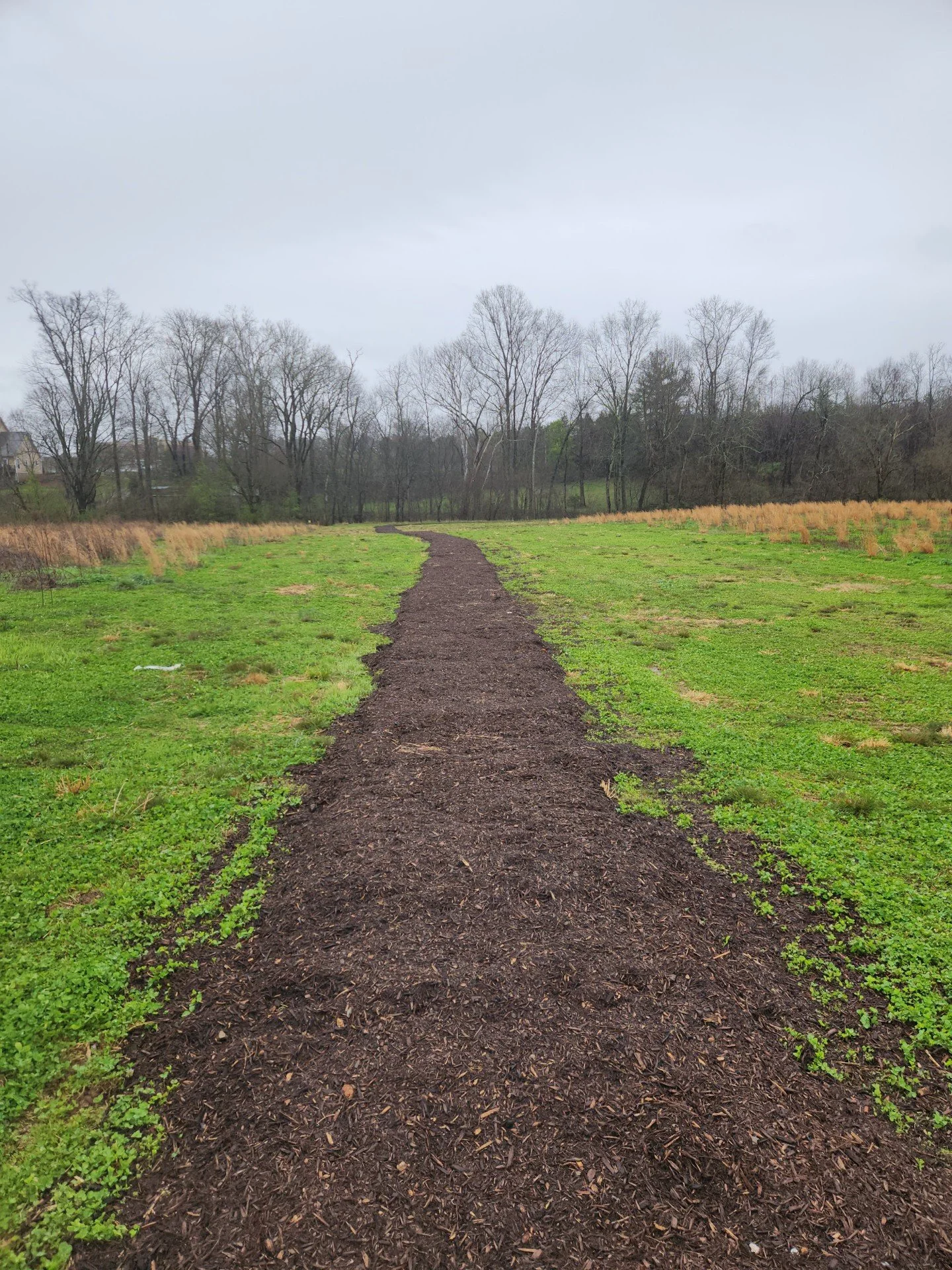 A dirt pathway winding through a grassy field with trees in the background and a cloudy sky overhead.