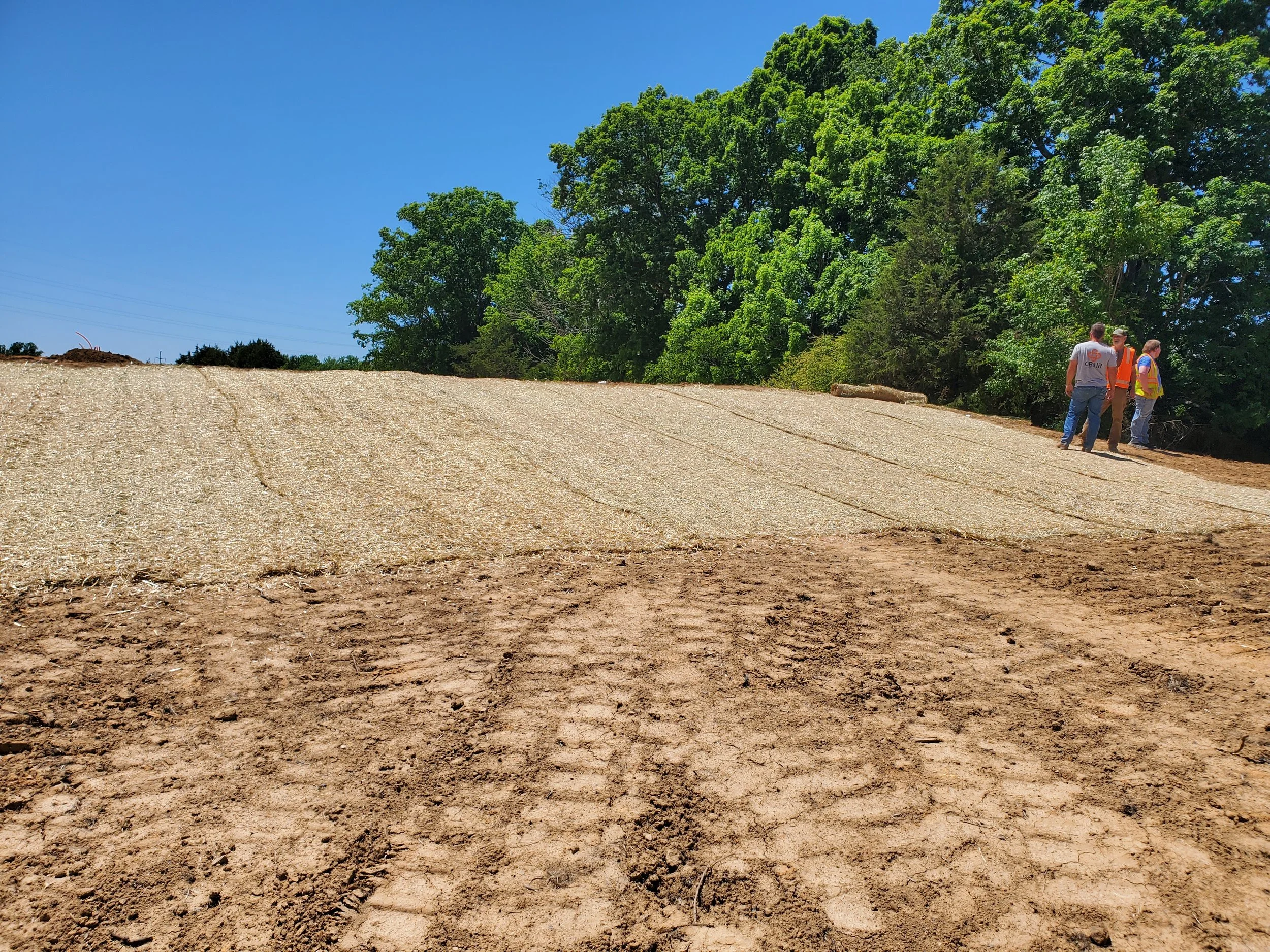 Three people wearing safety vests standing and talking on a cleared patch of land with a large green tree in the background, under a bright blue sky.