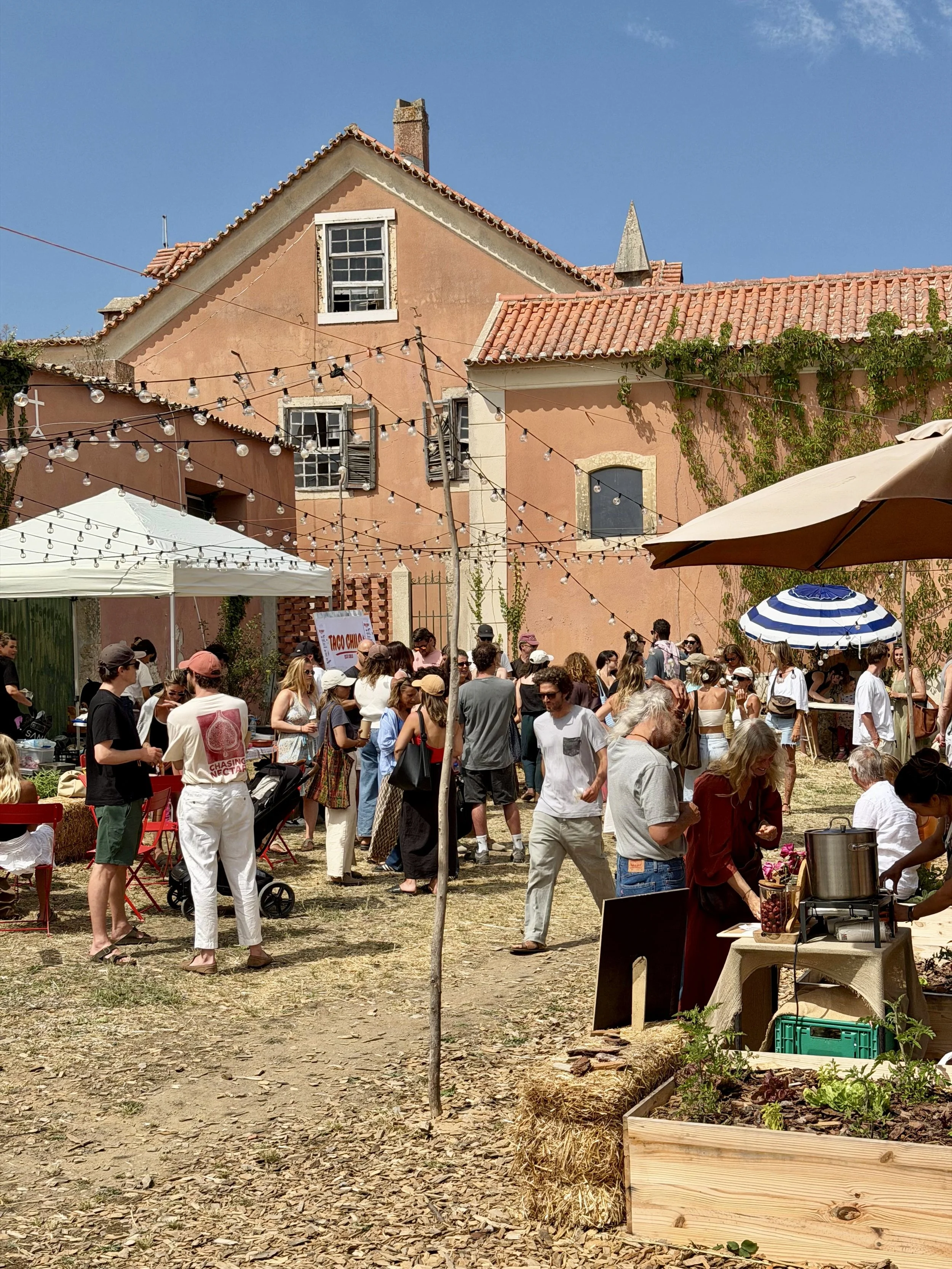 A lively outdoor gathering with many people under a clear blue sky, with string lights hanging above. There are various tents and umbrellas, and a pink building with several windows in the background. Some people are standing, others are sitting, and there are food and drink stations, including a sign that reads "Taco Chile." The ground is covered with dry leaves, and there are some garden beds in the foreground.