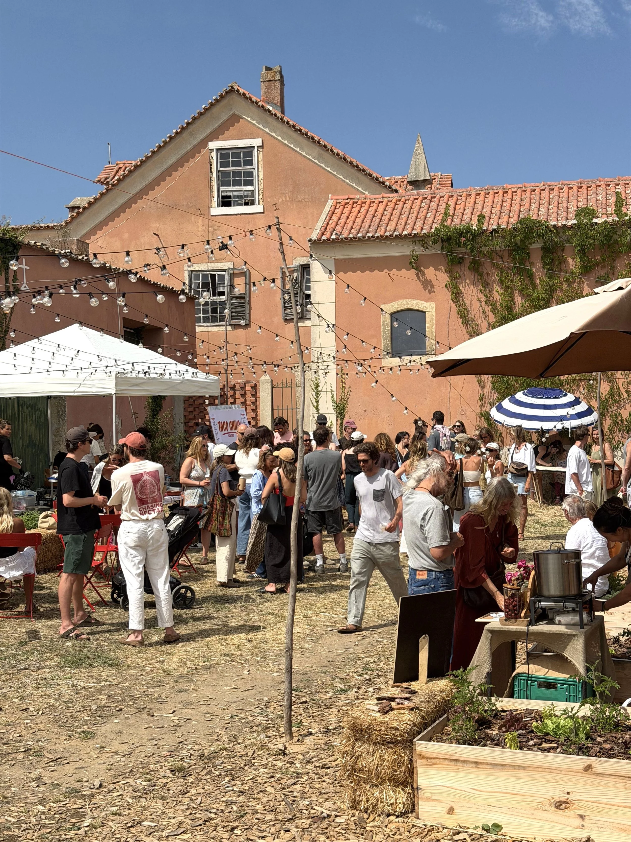 A crowded outdoor event with people standing and sitting under umbrellas on a sunny day. There are string lights hanging above and a pink building with windows and climbing plants in the background.