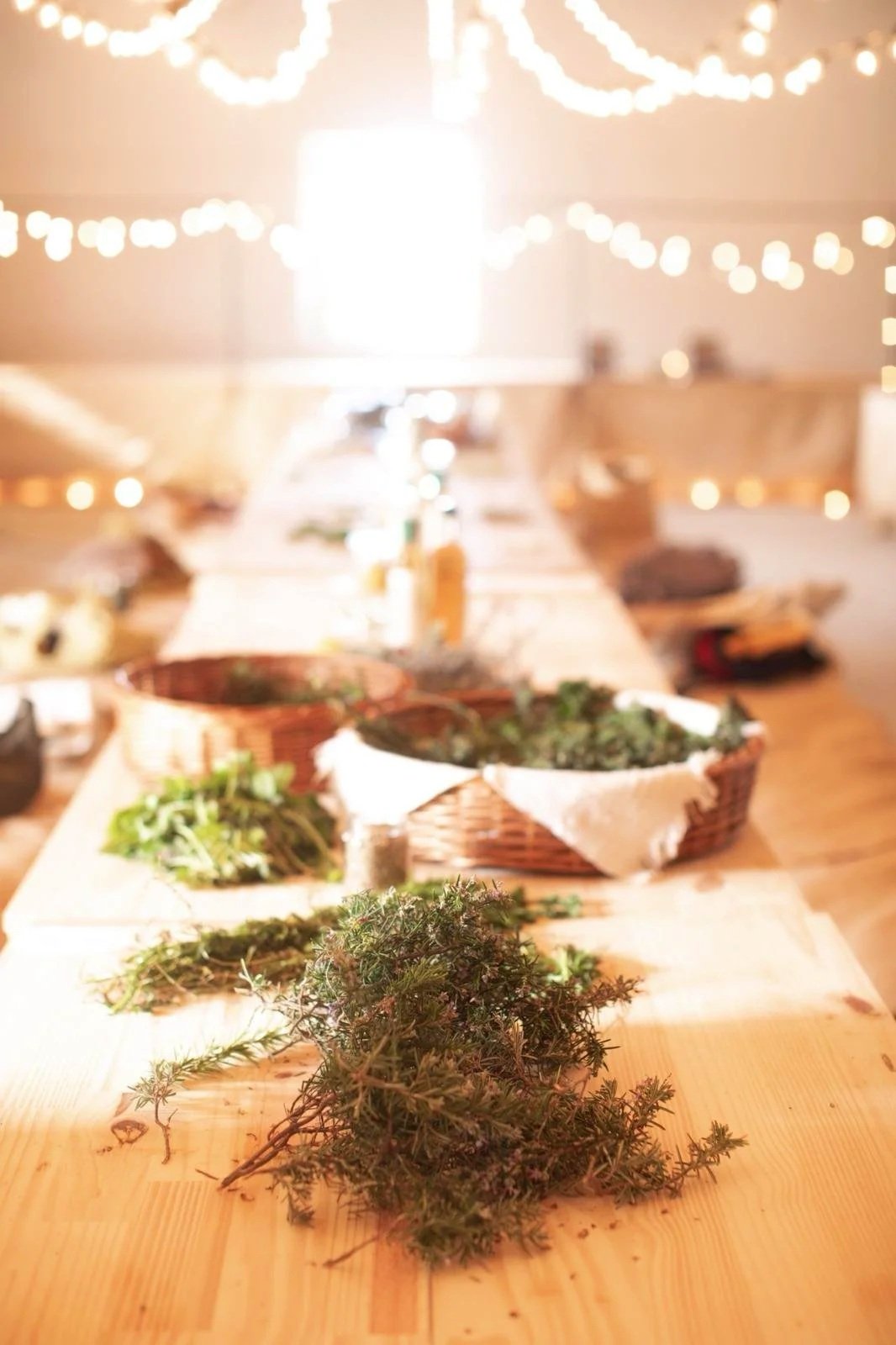 Herbs and plants on a wooden table at a decorated indoor event with string lights.