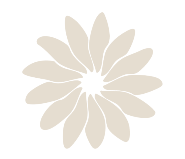 A white flower with elongated petals arranged in a circular pattern on a black background.