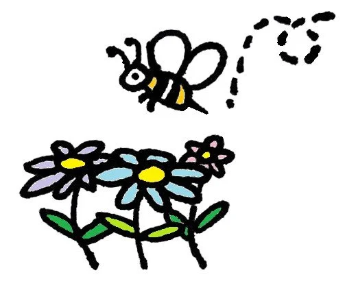 NavigatingBee Guides You to Holistic Wellness