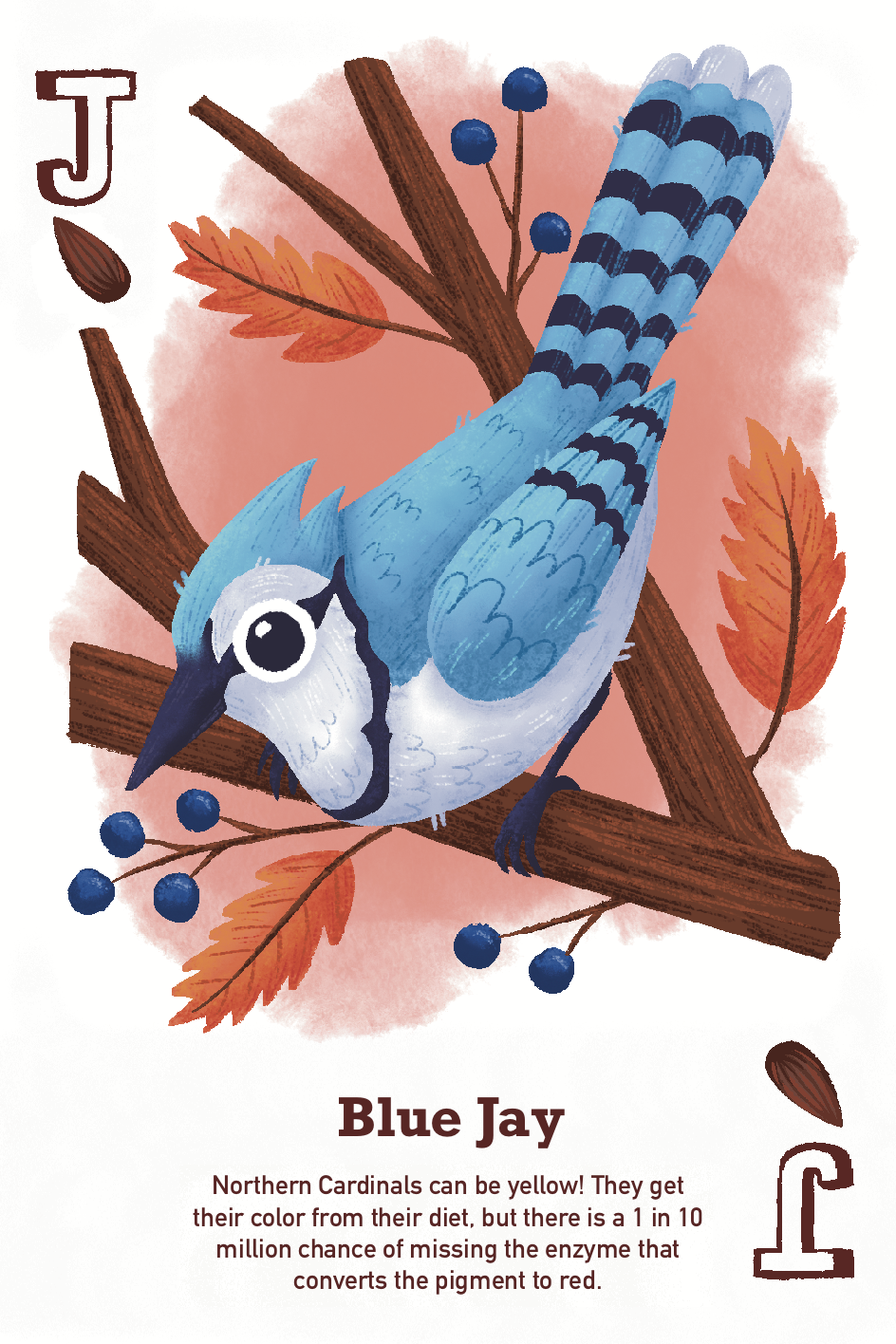 IMG_6973.png