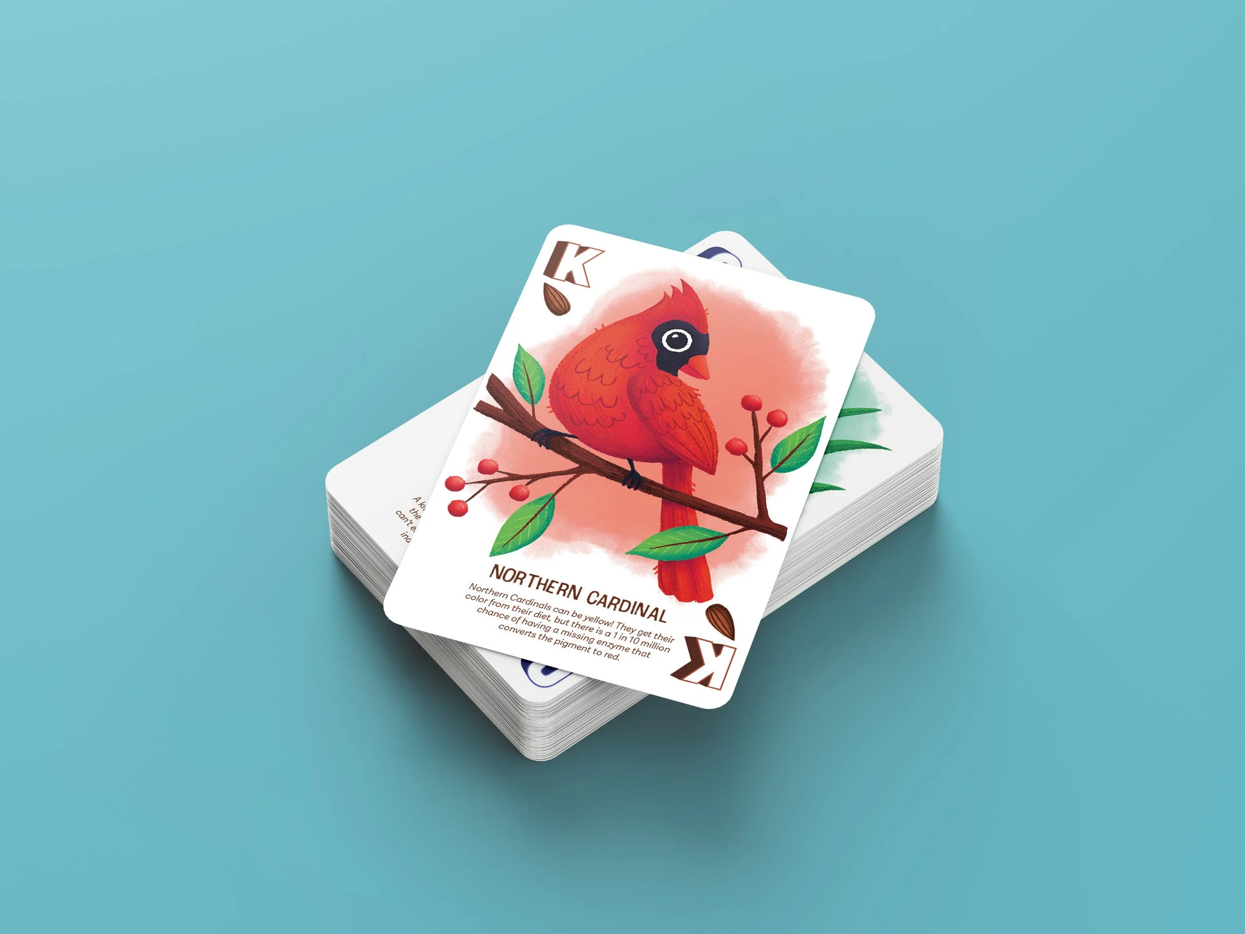 Free_Playing_Cards_Mockup_5-blue.jpg