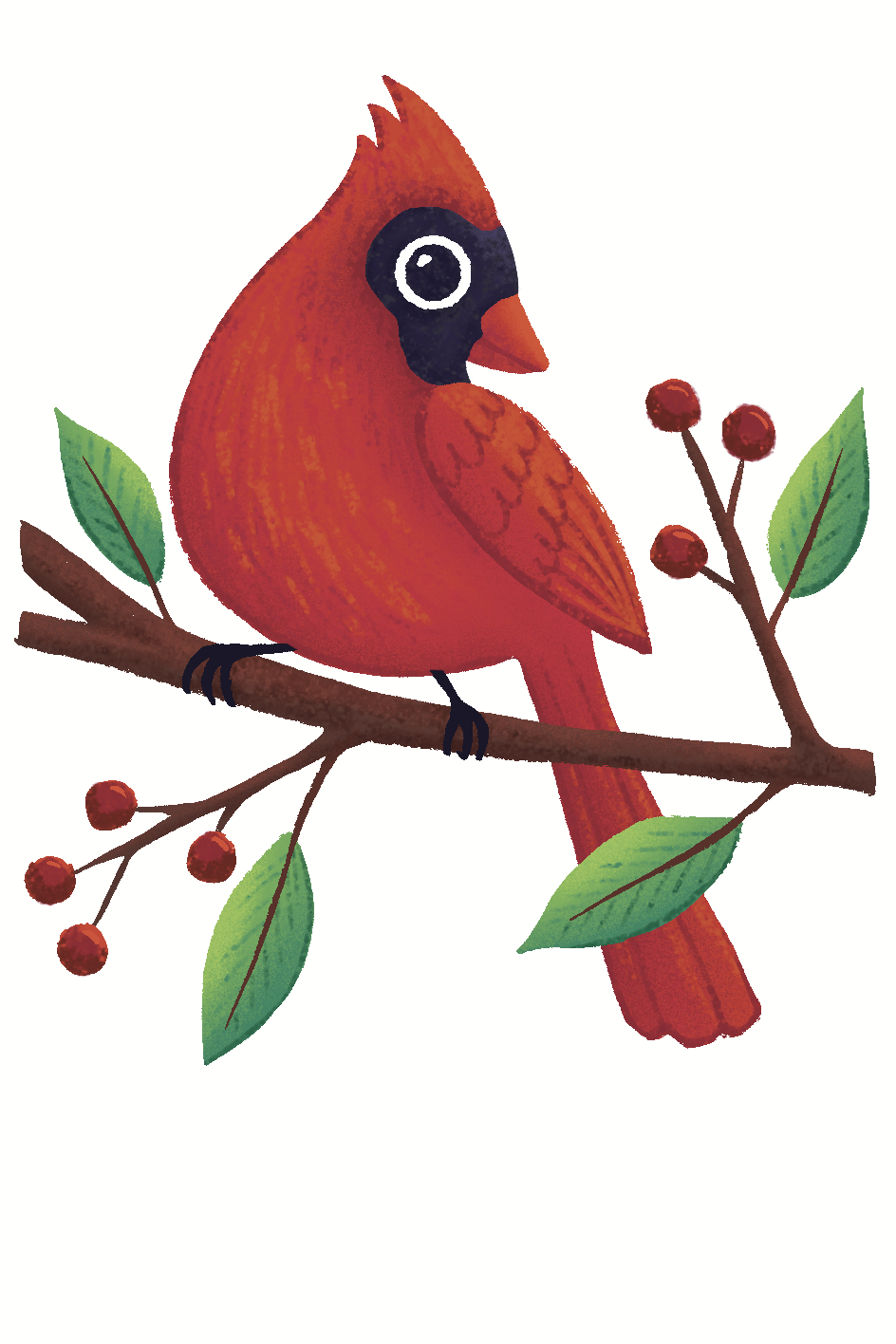 IMG_6961.png