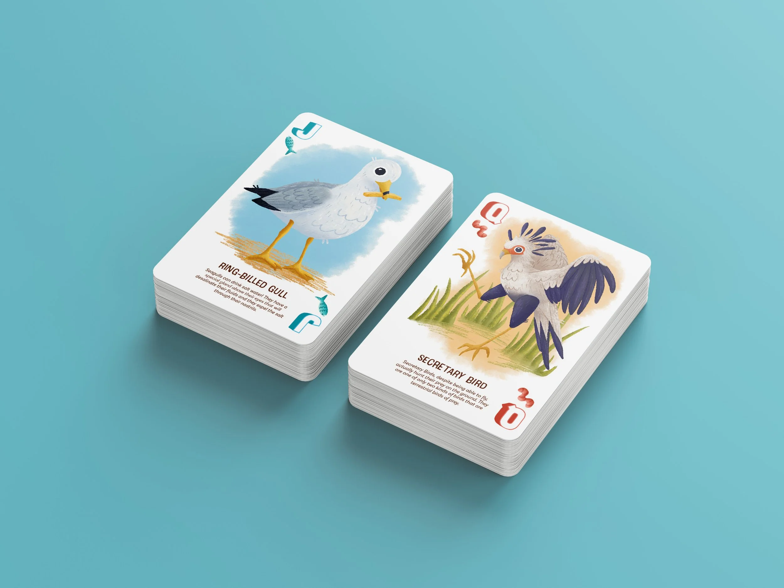 Free_Playing_Cards_Mockup_3-blue.jpg