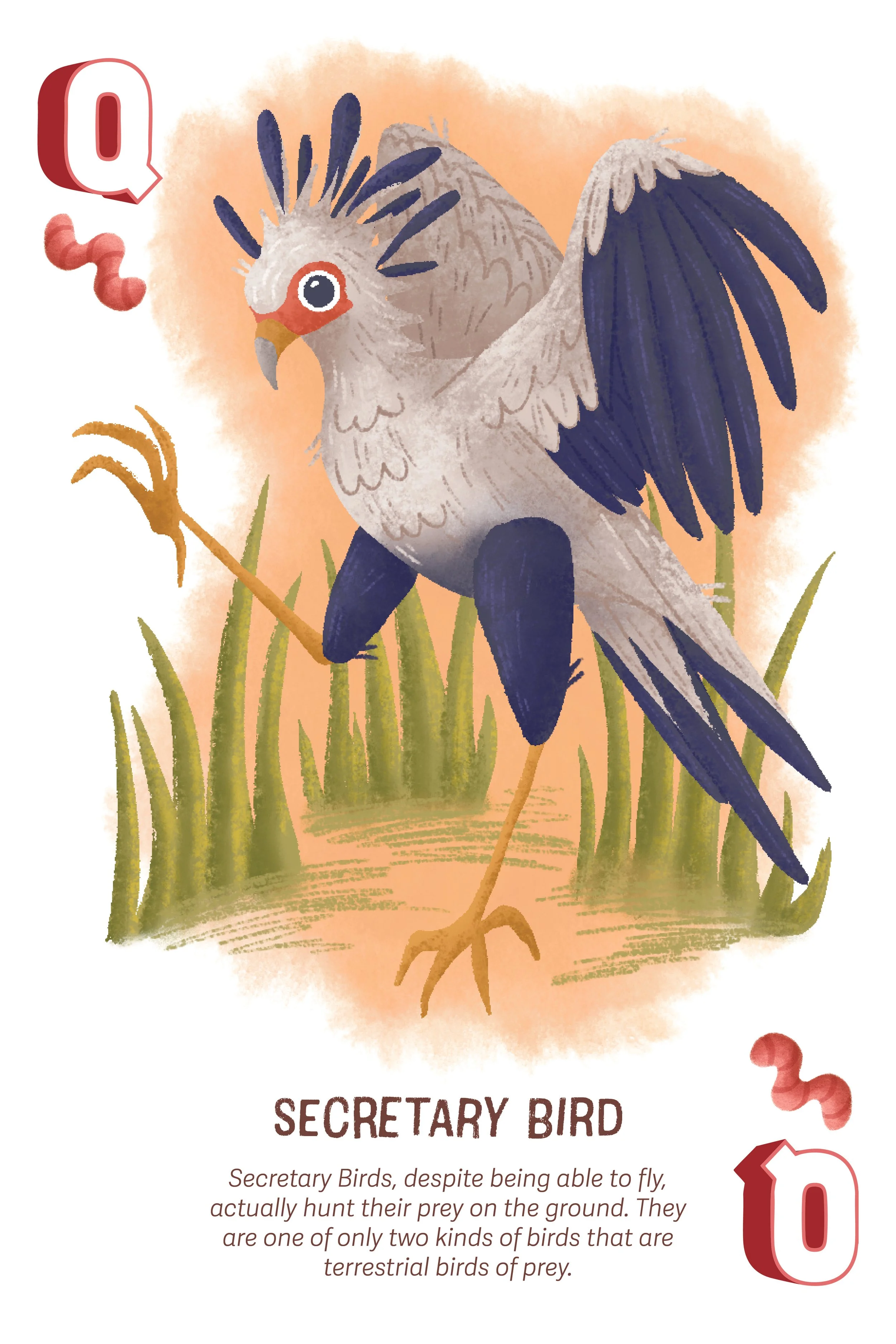 BirdsofaFeatherCards-06.jpeg