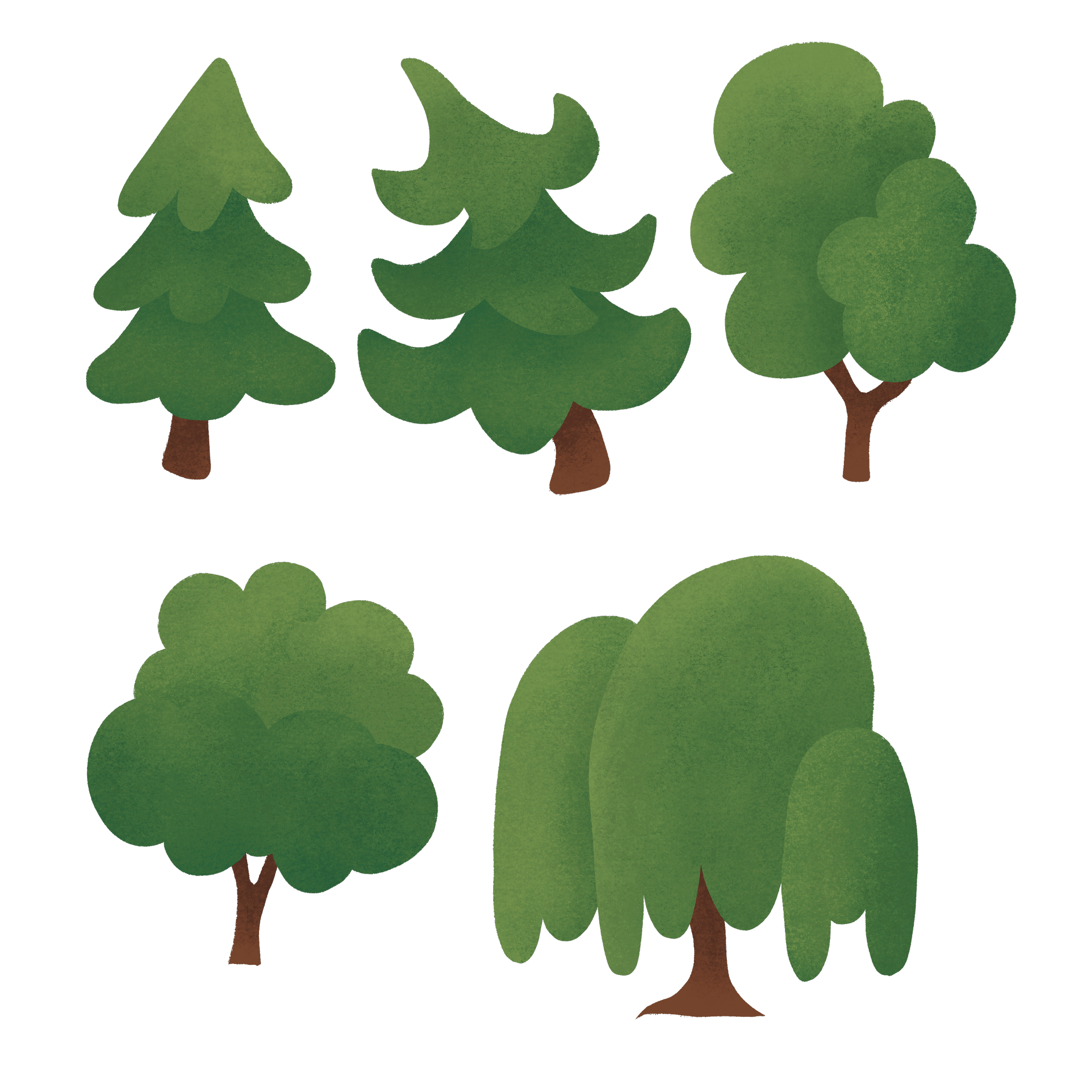IMG_7138.png