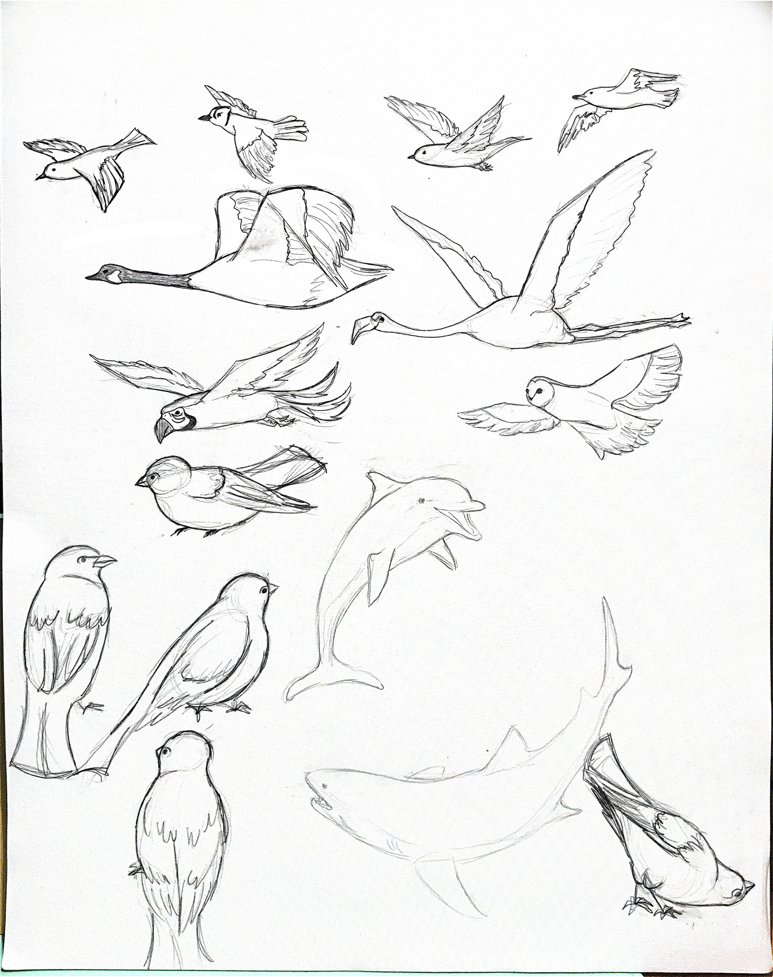 IMG_6493.png