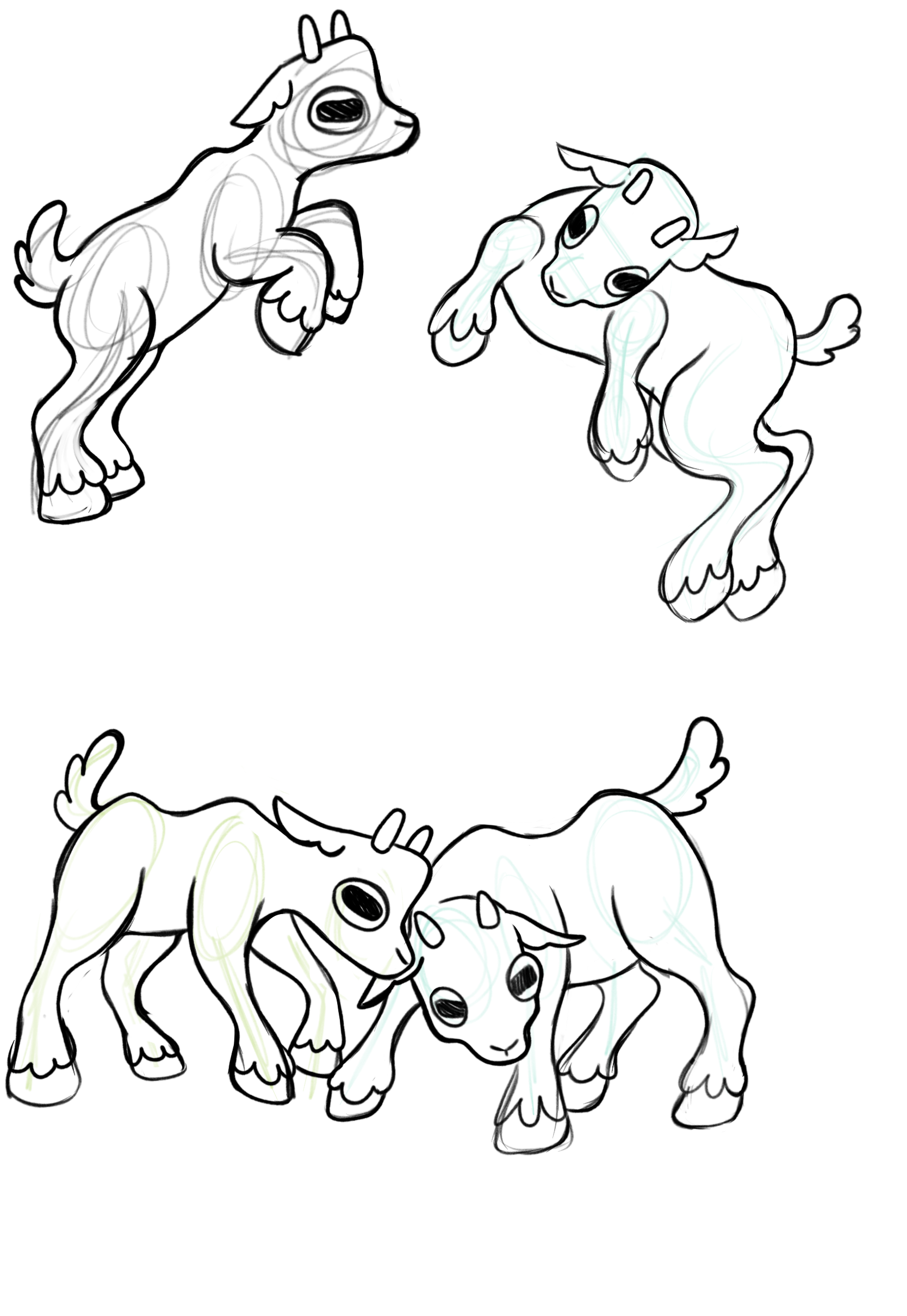IMG_6577.png