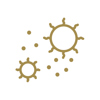 Simplified line drawing of pollen particles