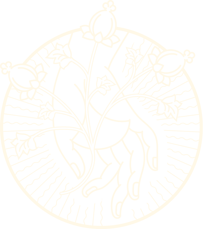 Jivaka Wellness Education Center Logo