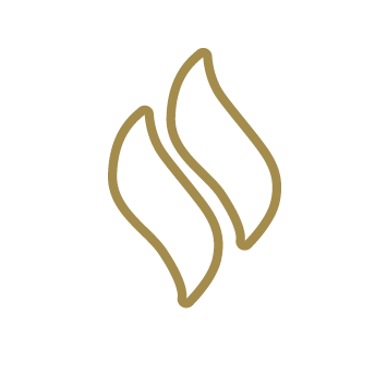 Stylized icon representating a flame