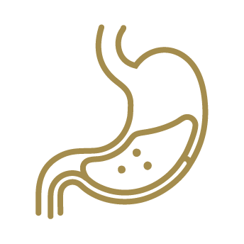 Simplified line drawing of a stomach