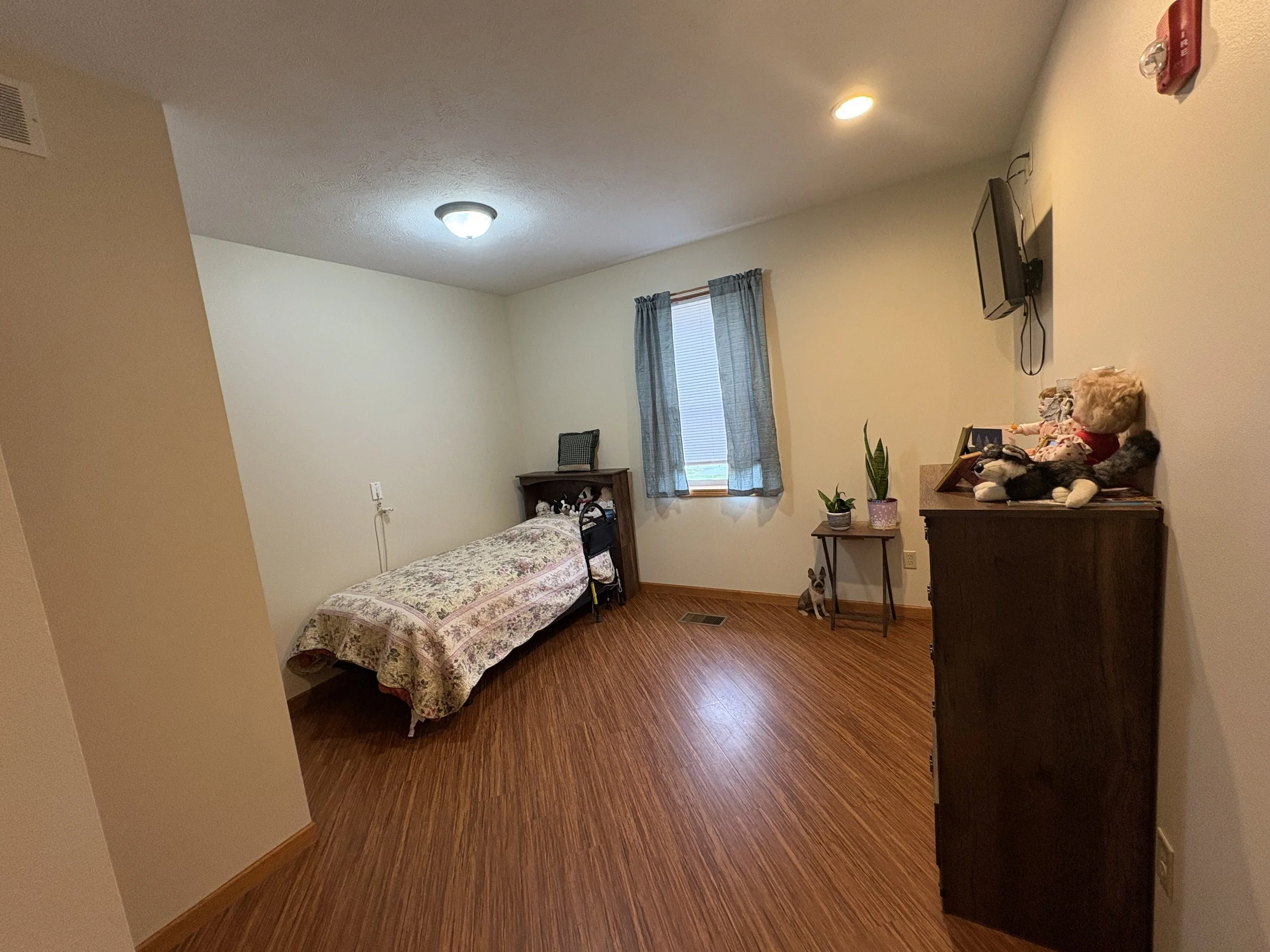 A bedroom with a bed, window with curtains, dresser with dolls and stuffed animals, and a television on the wall.