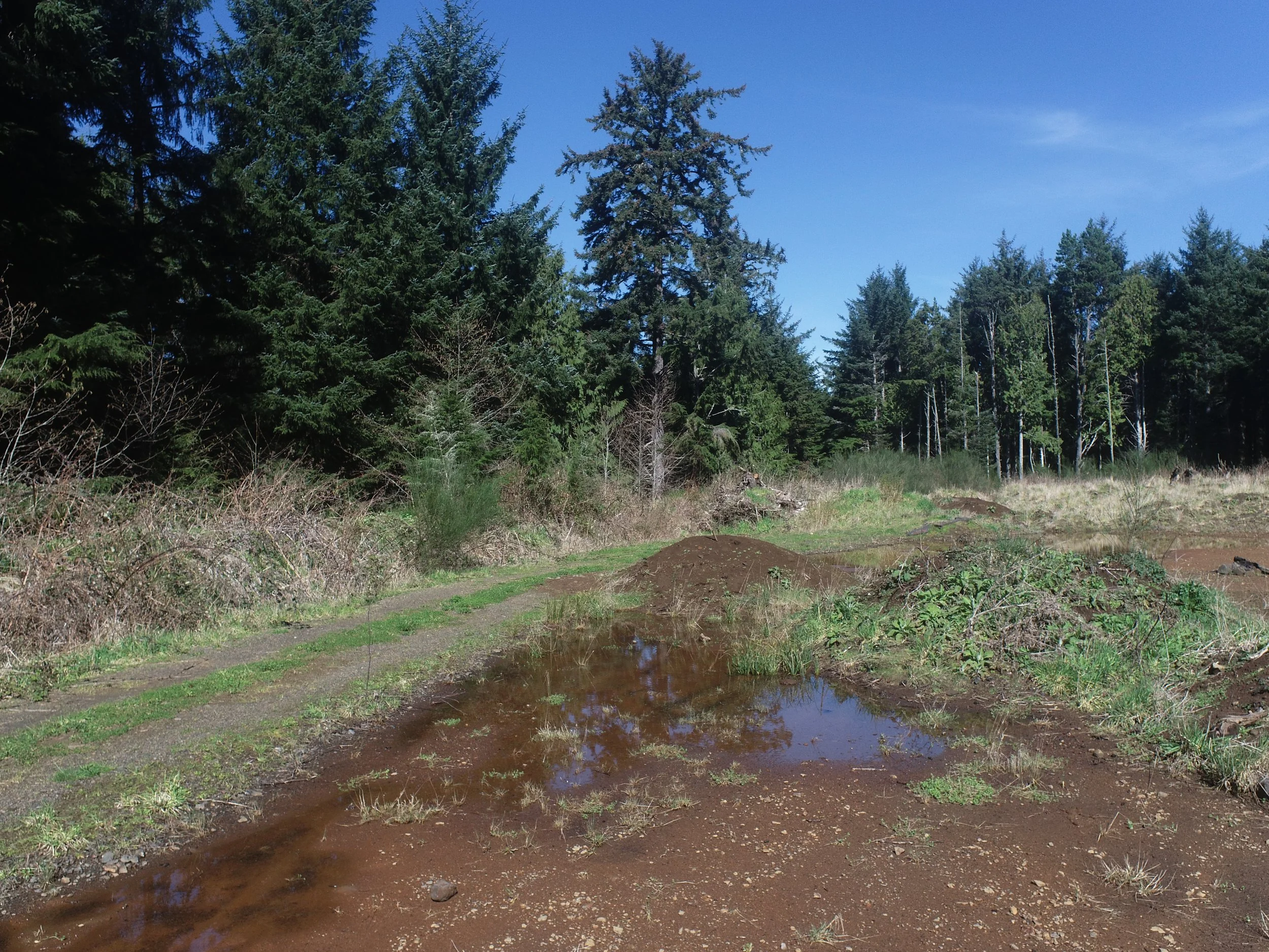 Depoe Bay Townhomes_Site Photo Before .JPG