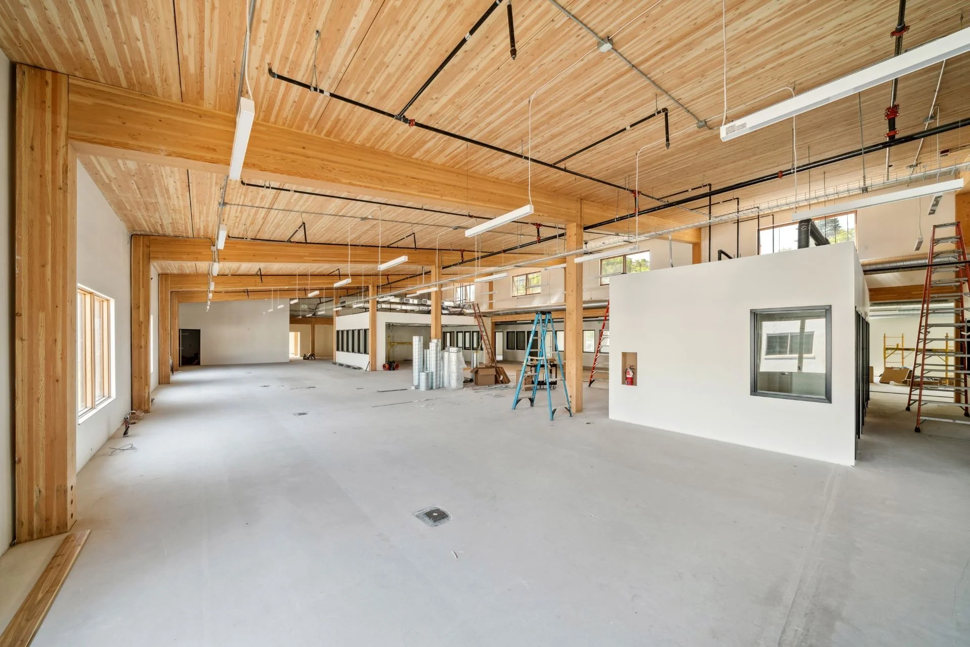 Accretech_Interior_Progress_Timber-Ceiling_Broken-Banjo.jpg