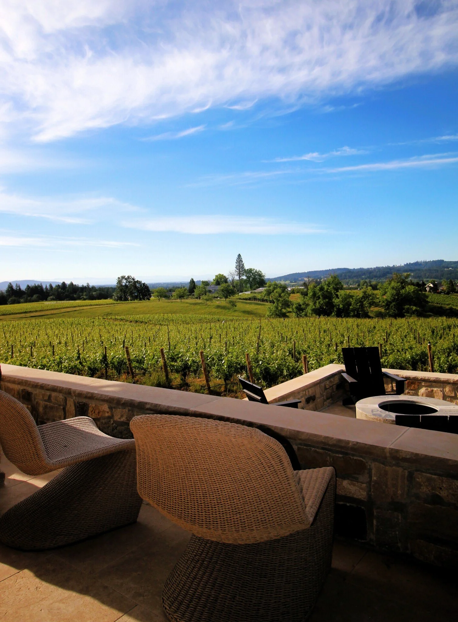 Lachini_patio_vineyard-view.jpg
