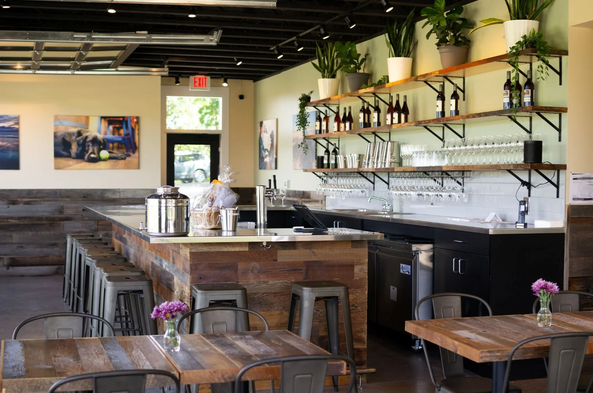Black Dog Interior Bar_credit-Anzelina-Coodey.jpg