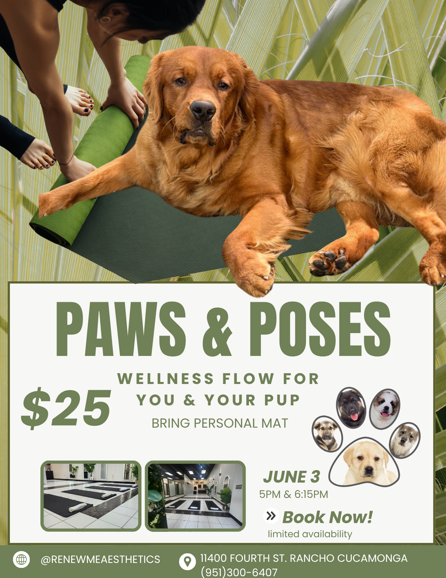 White and Green Modern Yoga Class Promotion Flyer.png