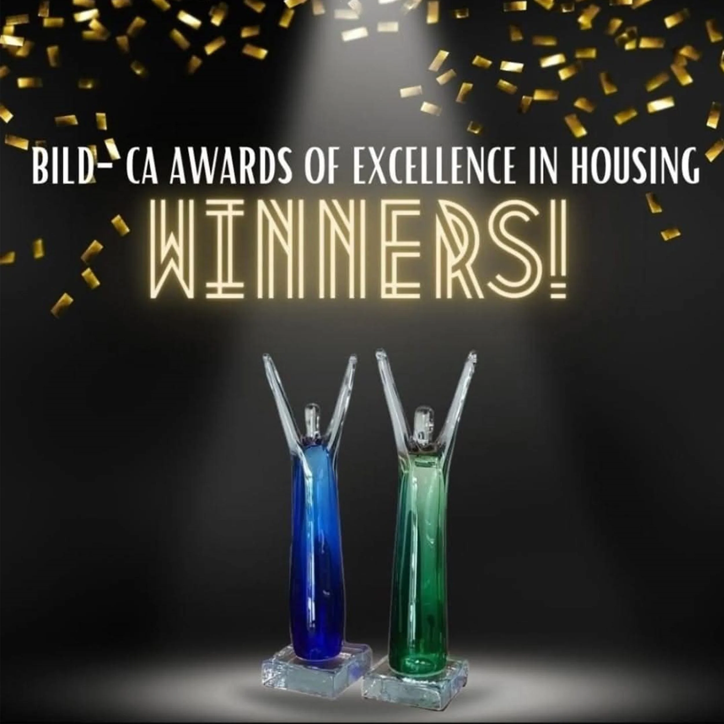 B.I.L.D award winner