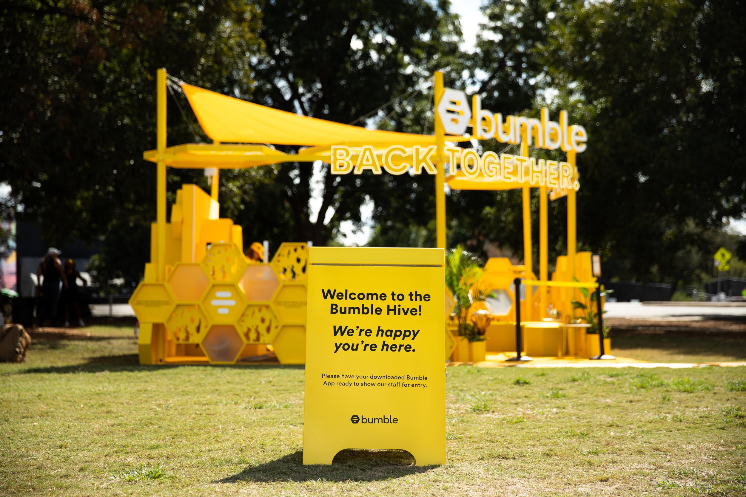 Bumble ACL-60.jpg