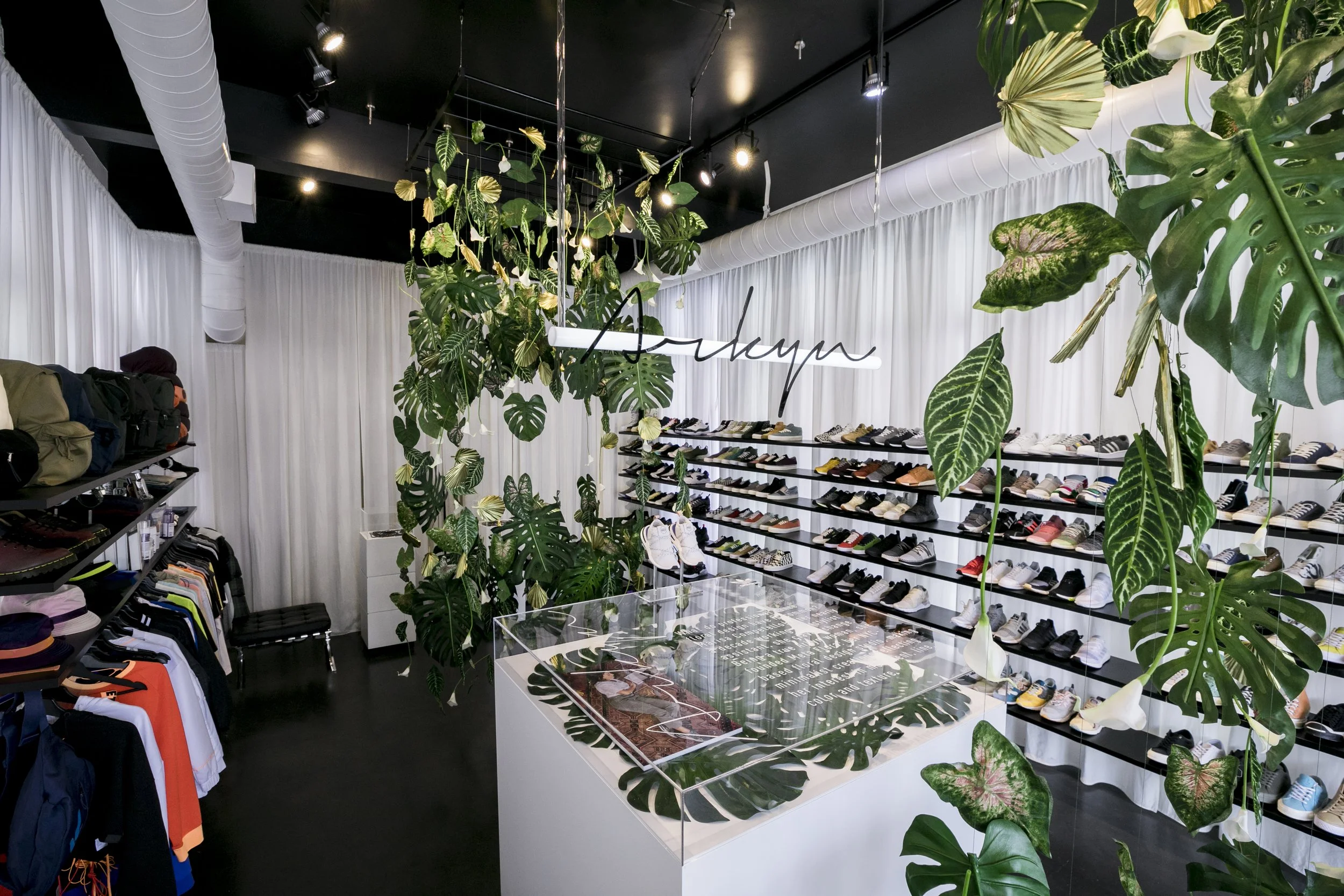 Adidas Originals | Arykn Launch