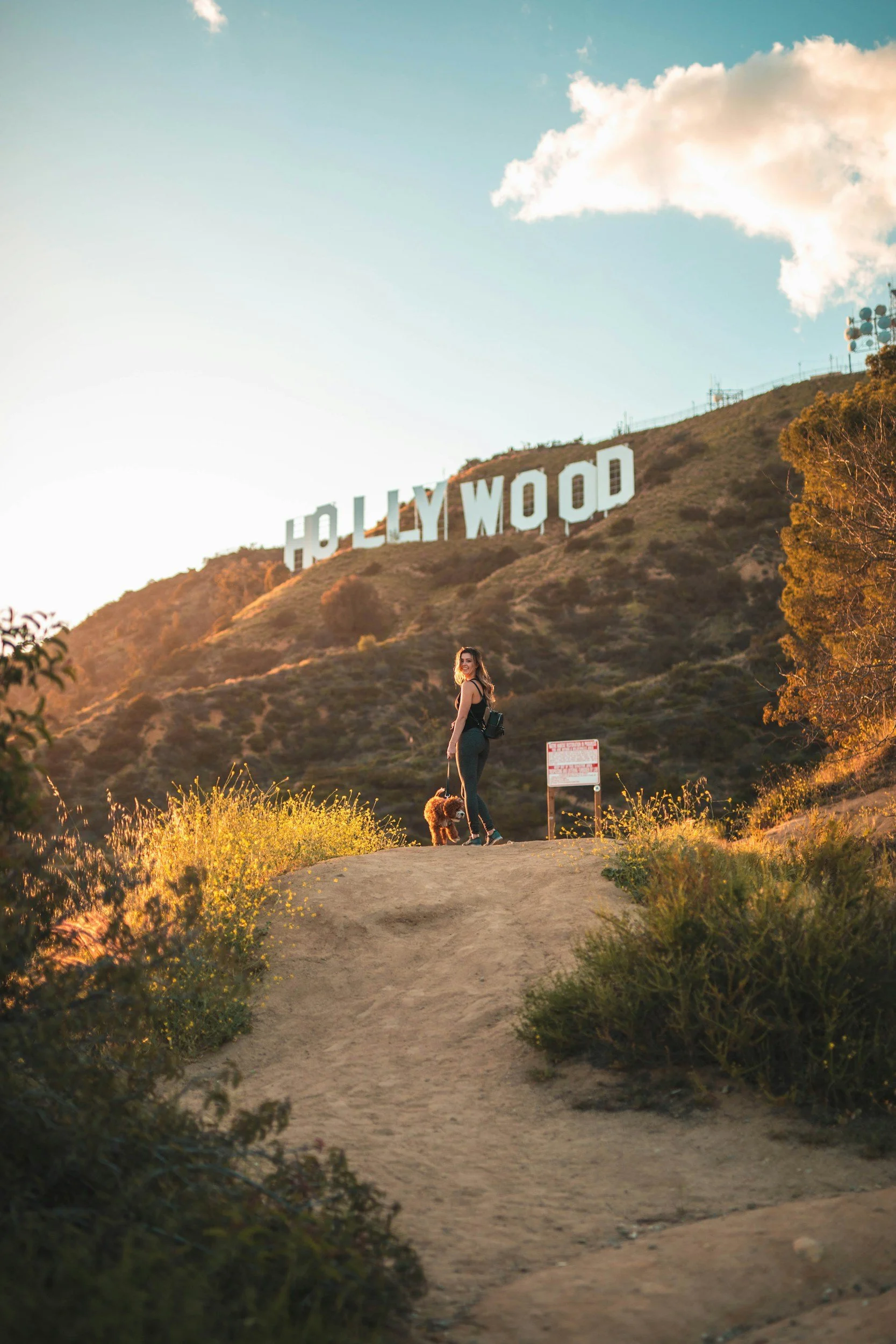 A woman walking her dog on a dirt path near the Hollywood sign on a hillside at sunset with trees and bushes around.