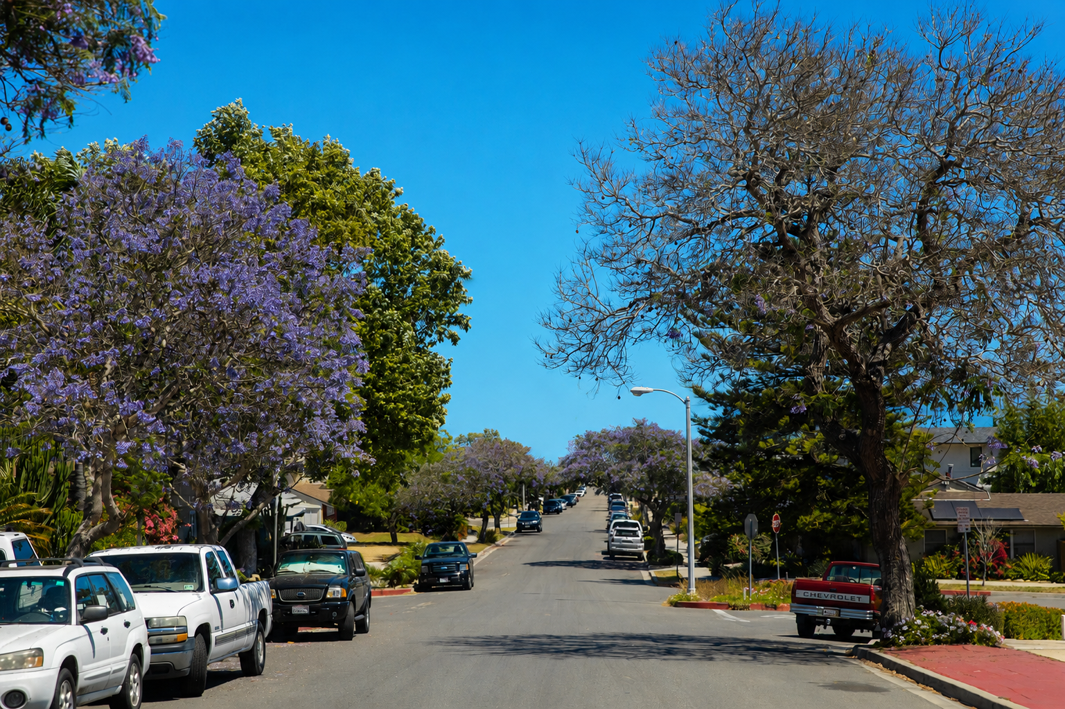 Toluca Lake Real Estate : What Makes This Neighborhood Special?
