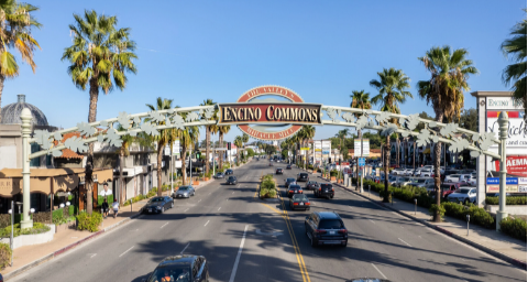 Main street with palm trees, cars, and storefronts, featuring a sign for Encino Commons in a shopping area.
