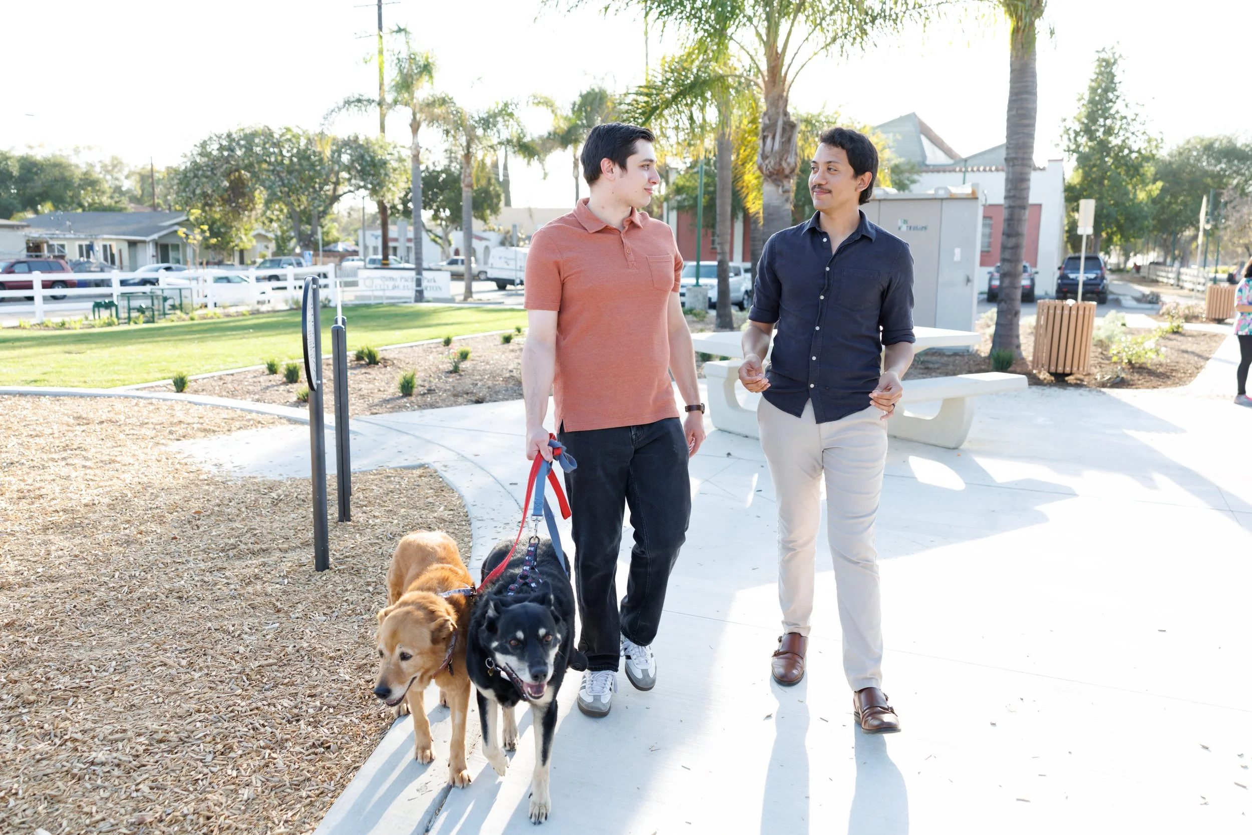 Two men walking dogs in a park on a sunny day. The man on the left is wearing a peach polo shirt and the man on the right is wearing a dark blue button-up shirt. They are holding leashes attached to multiple dogs, and there are trees, parked cars, an