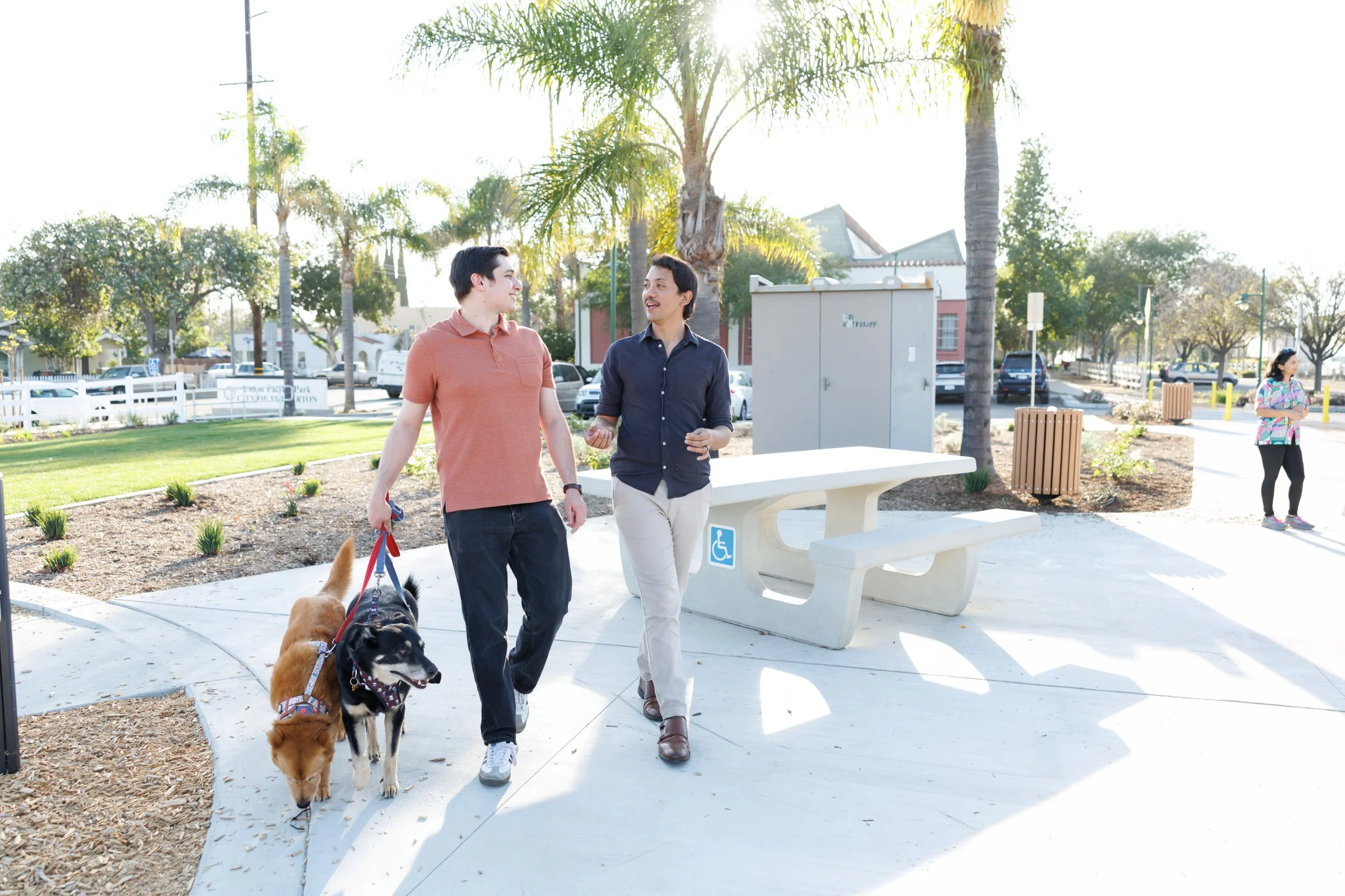Two men walking dogs on leash in a park, with palm trees and a woman in the background, sunny weather.