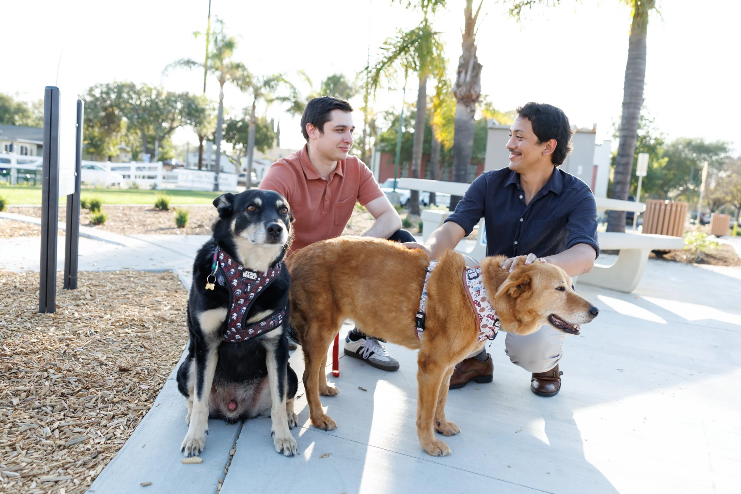 Two men sitting on a bench in a park with three dogs, including a black and white dog and a golden retriever with a bandana, surrounded by palm trees and greenery.