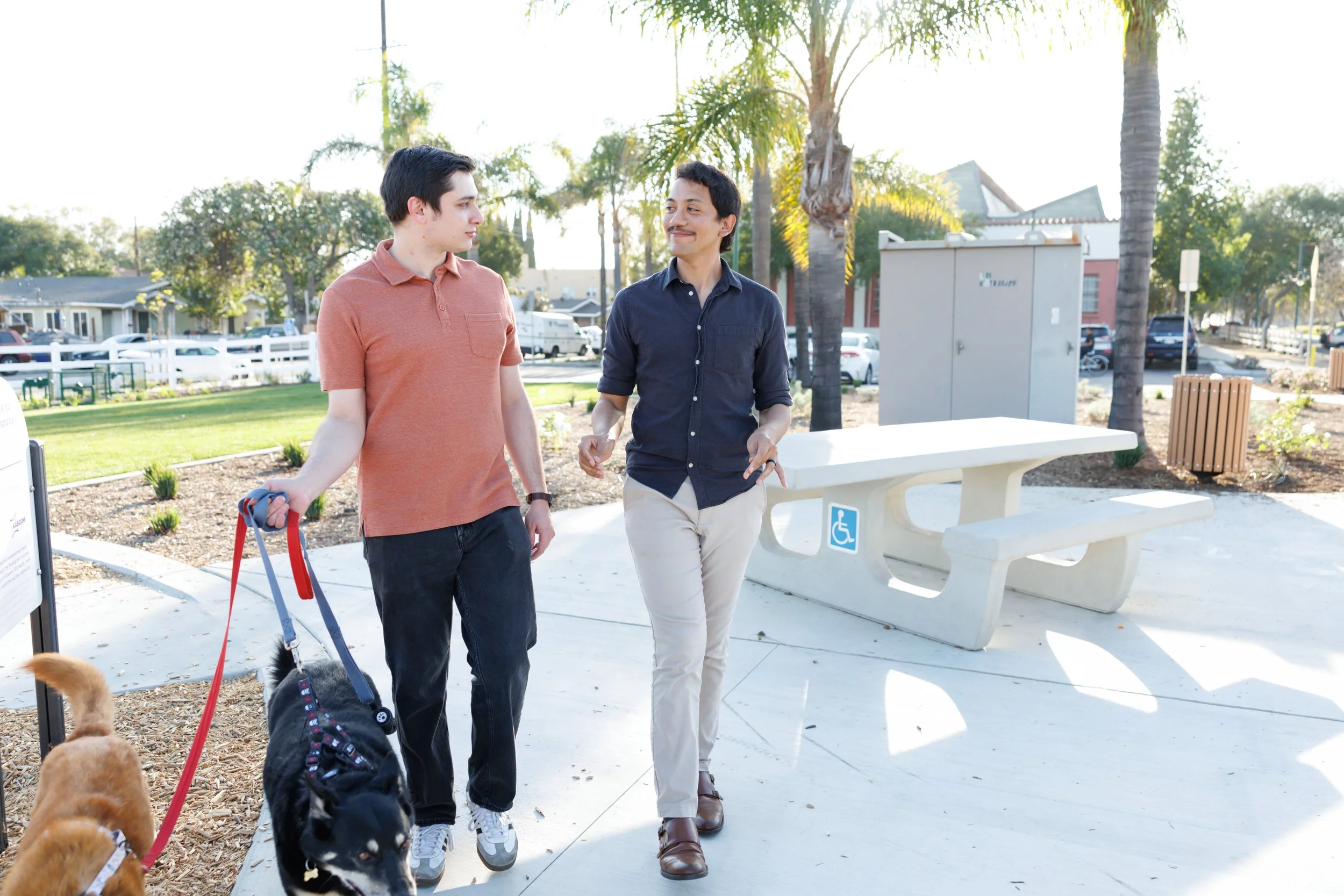 Two men walking in a park with dogs on leashes.