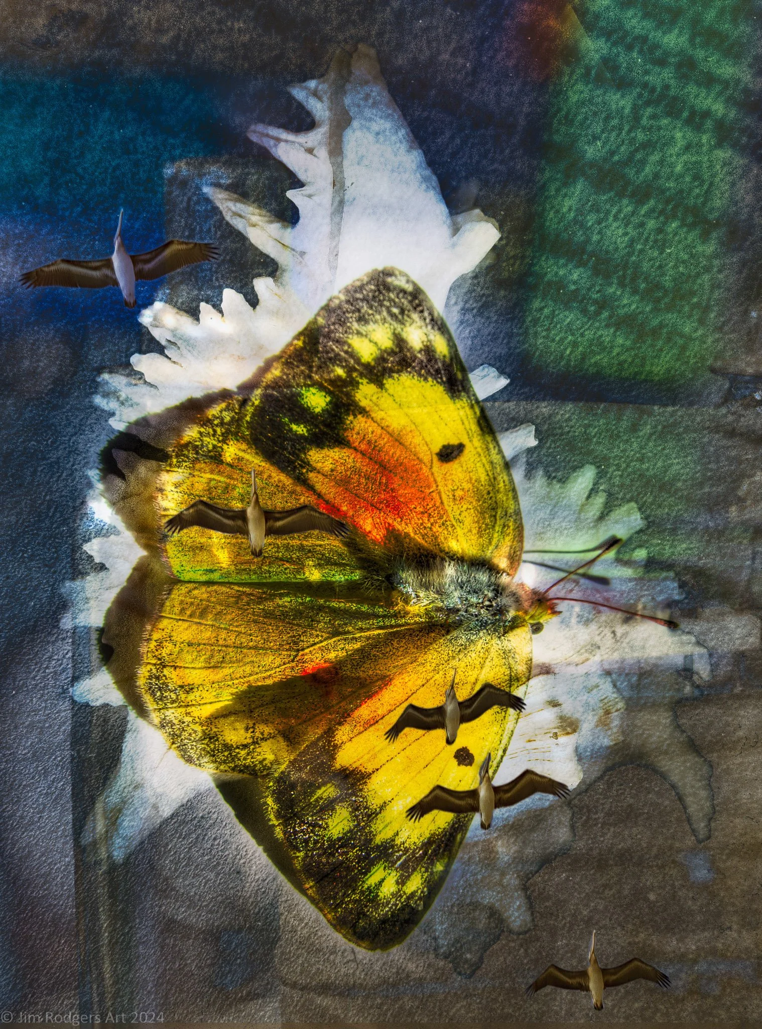 It's All About Having Fun