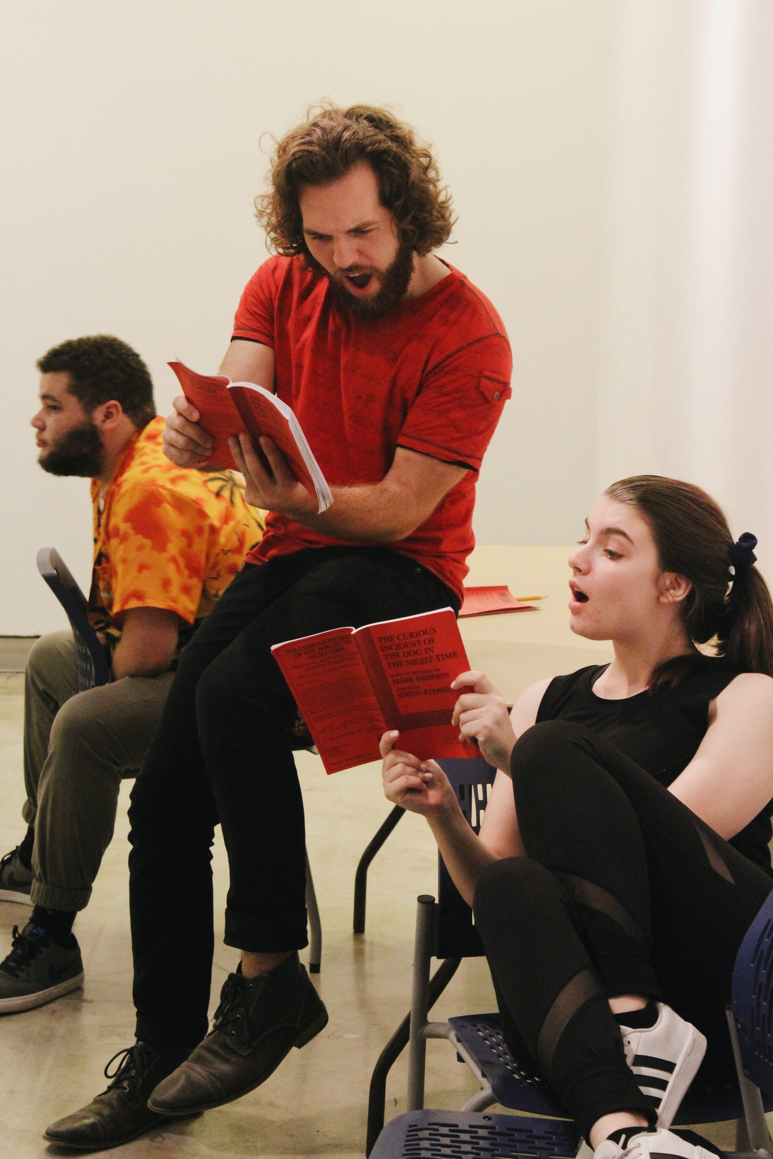 Illinois State University's production of The Curious Incident of the Dog in the Nighttime Fall 2019