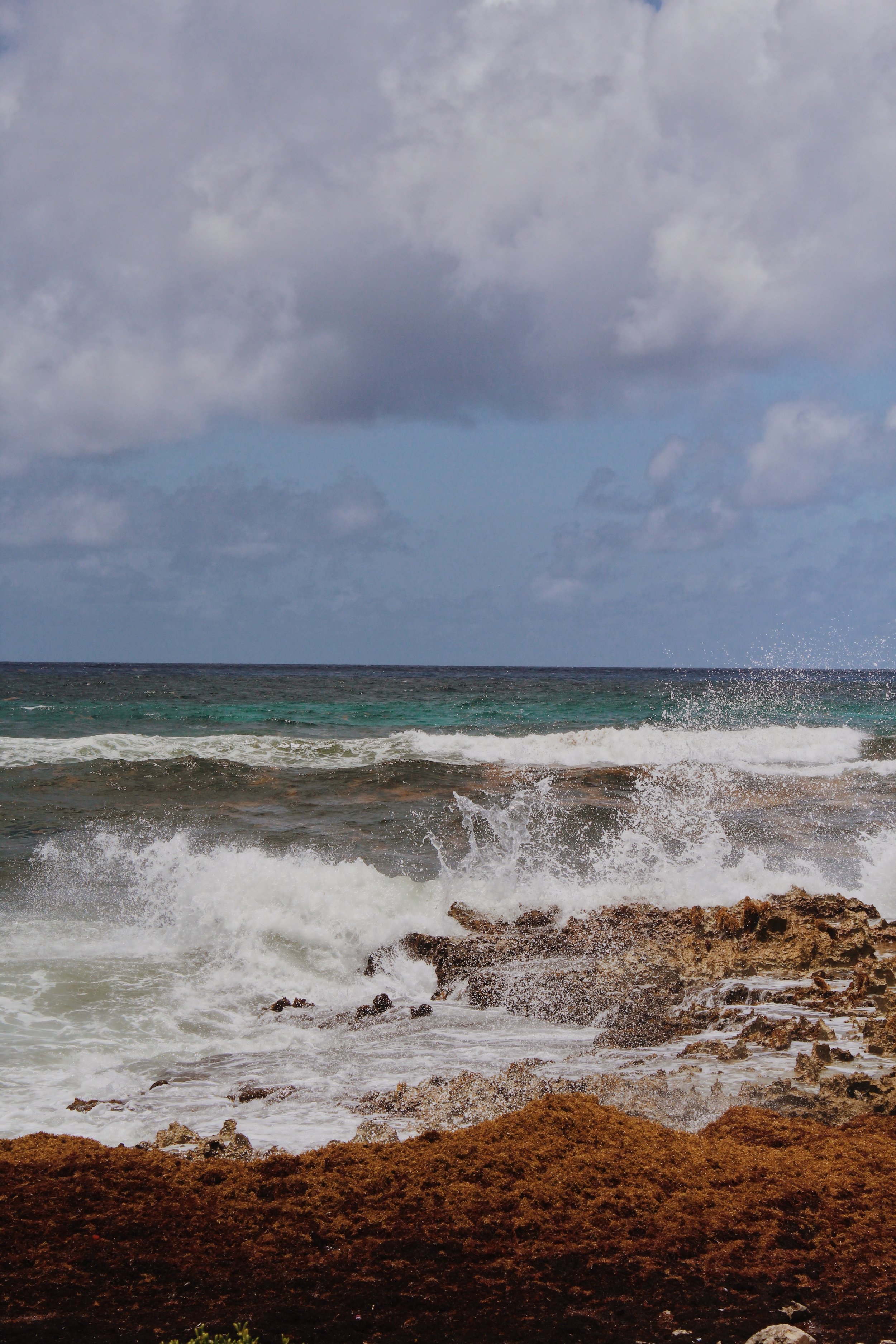 Cozumel, Mexico 2019