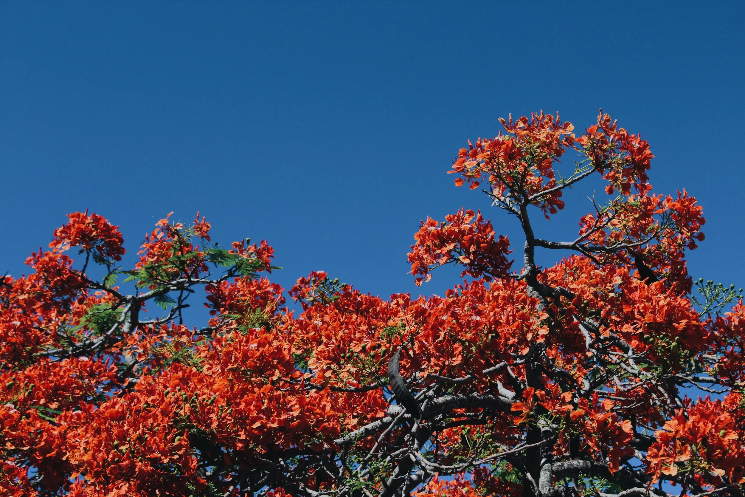 Cozumel, Mexico 2019