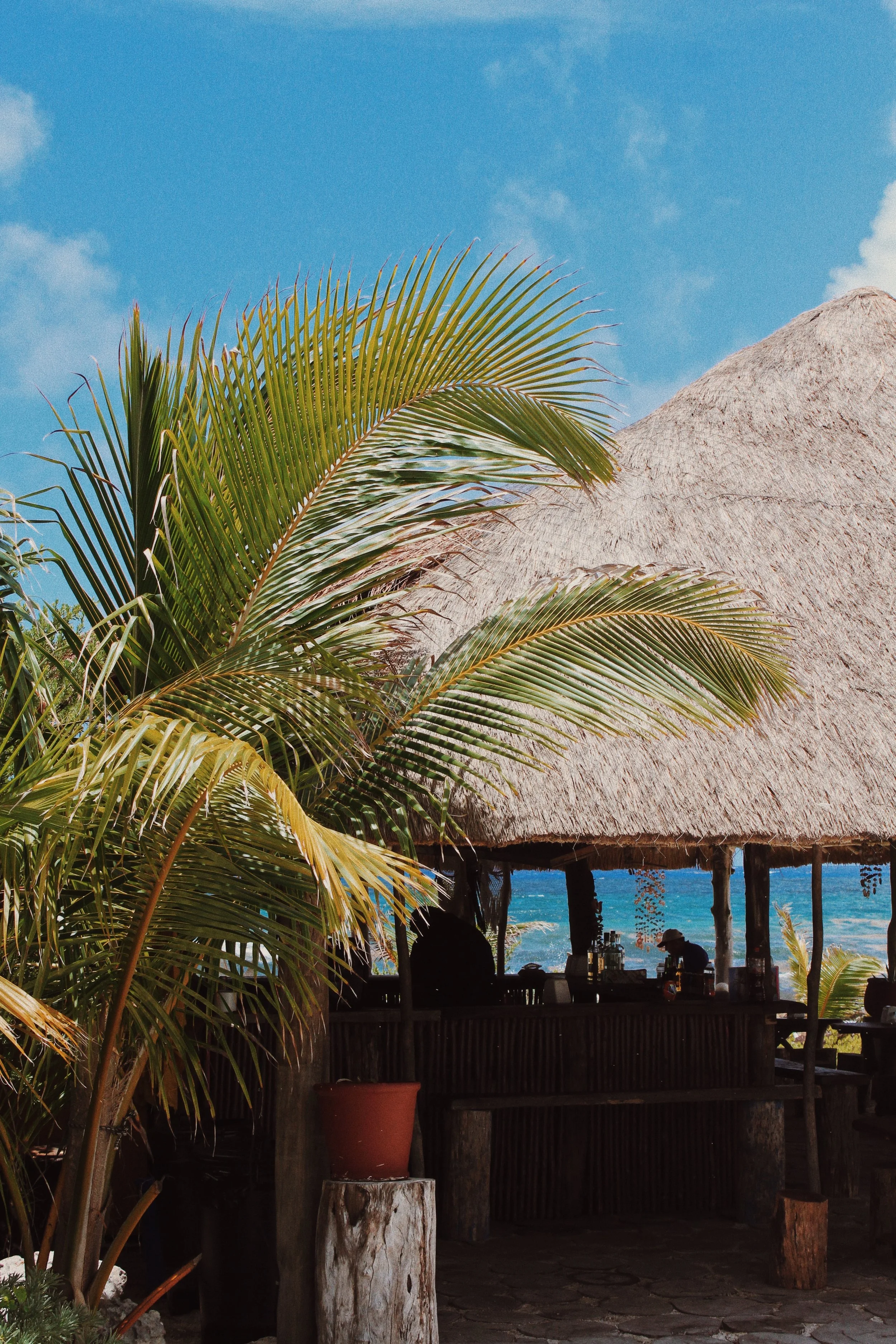 Cozumel, Mexico 2019