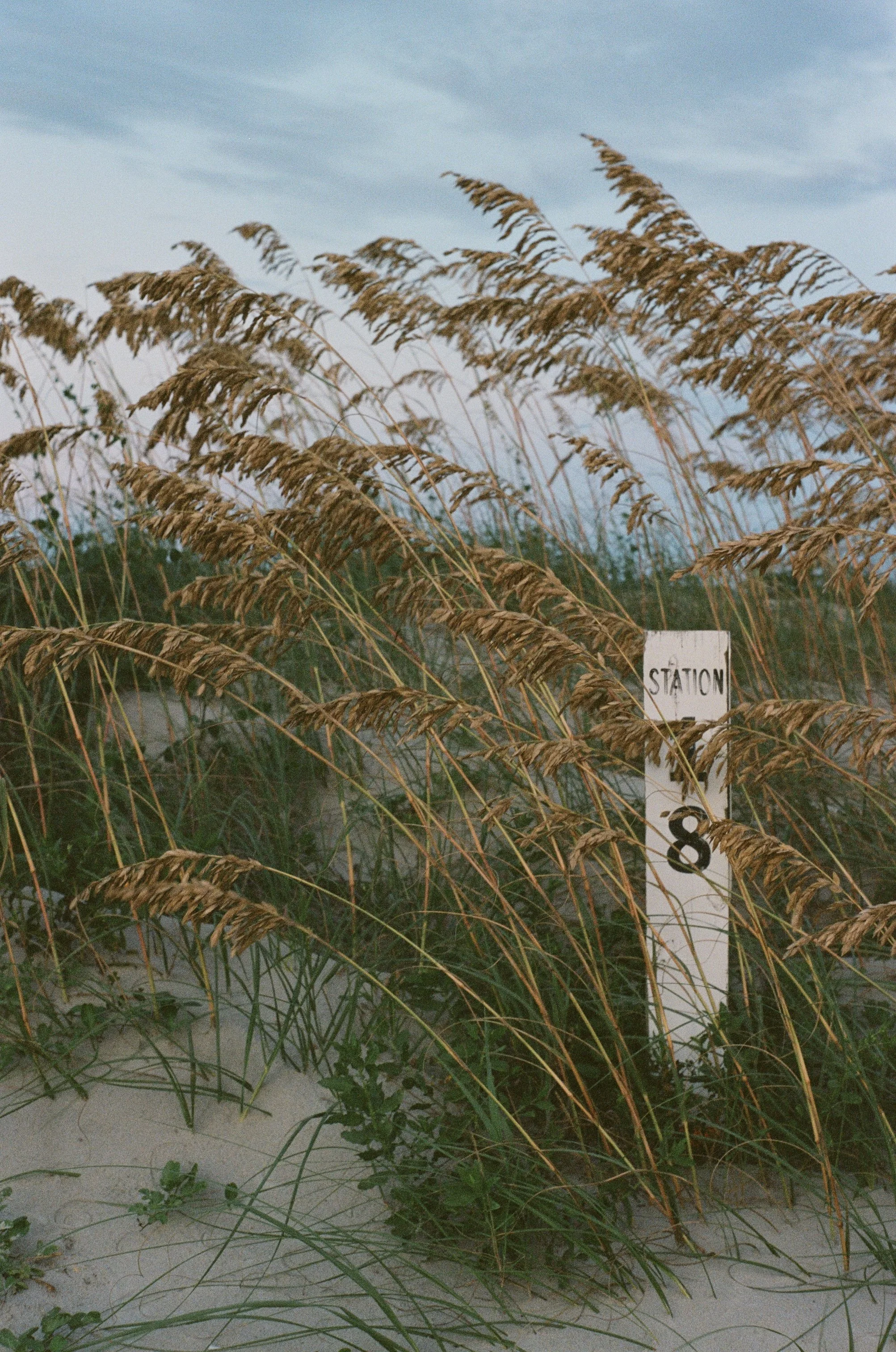 Sullivans Island, Charleston, SC 2022